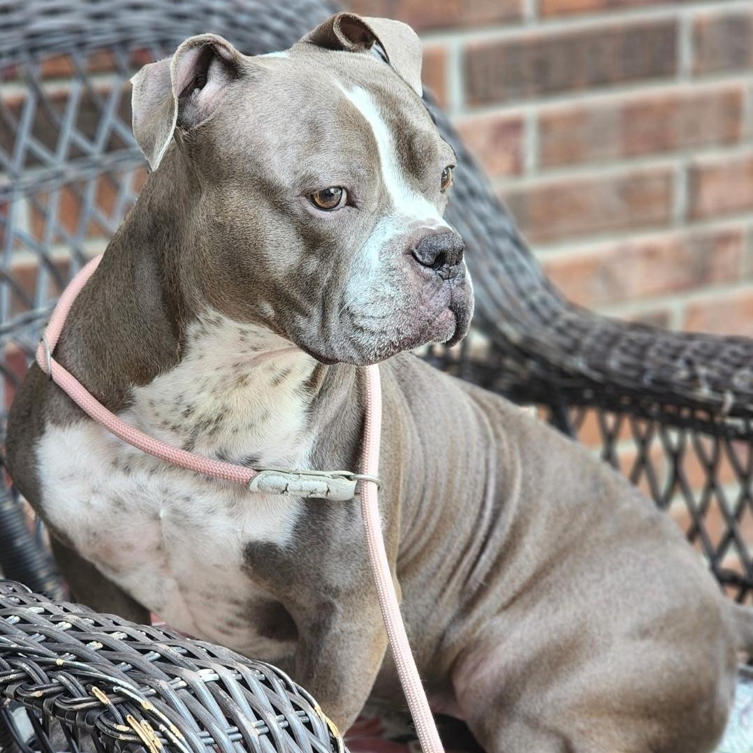 Hershey — thumbnail 3