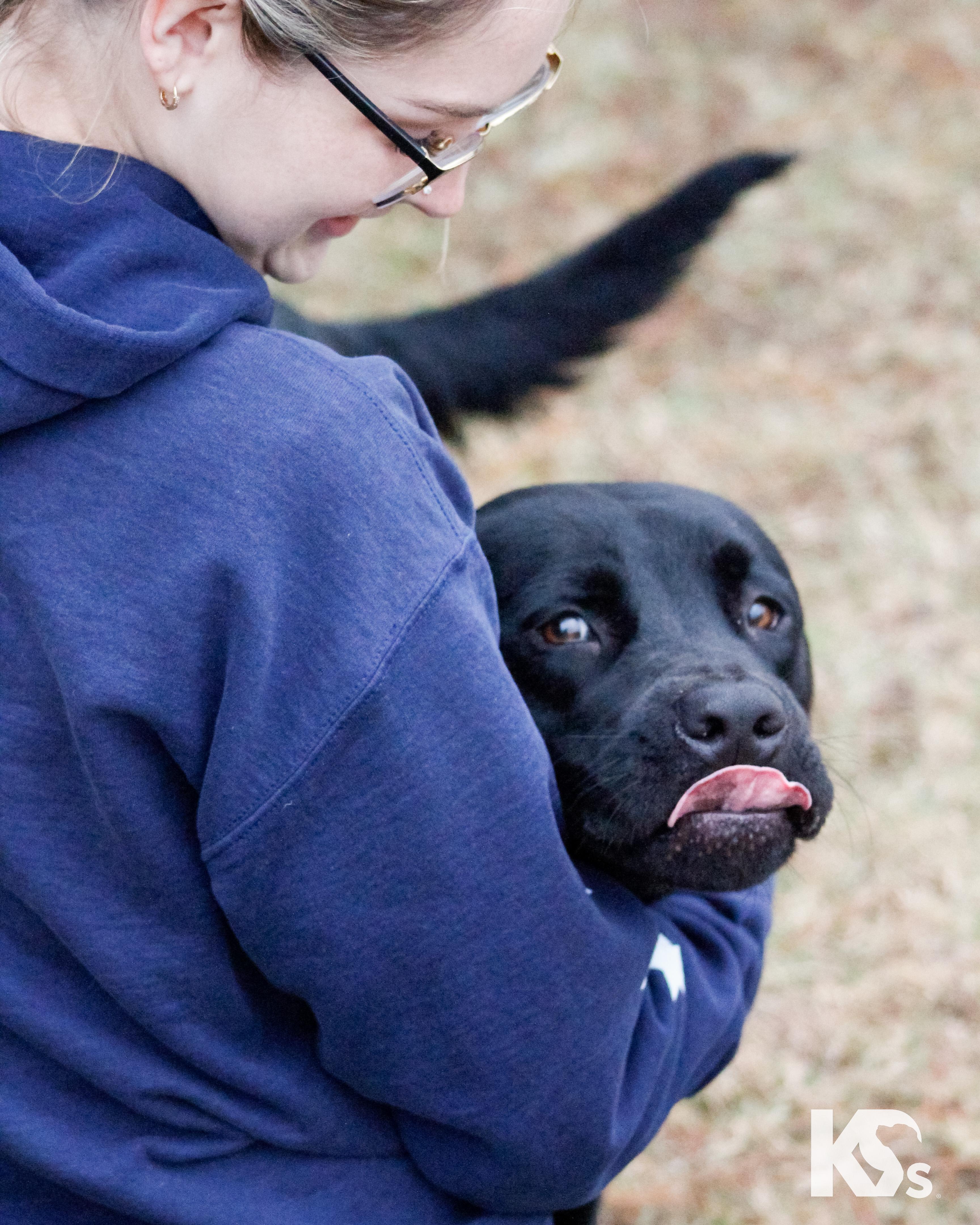 Spur, an adopted mixed breed in Ponte Vedra, FL image 4/6