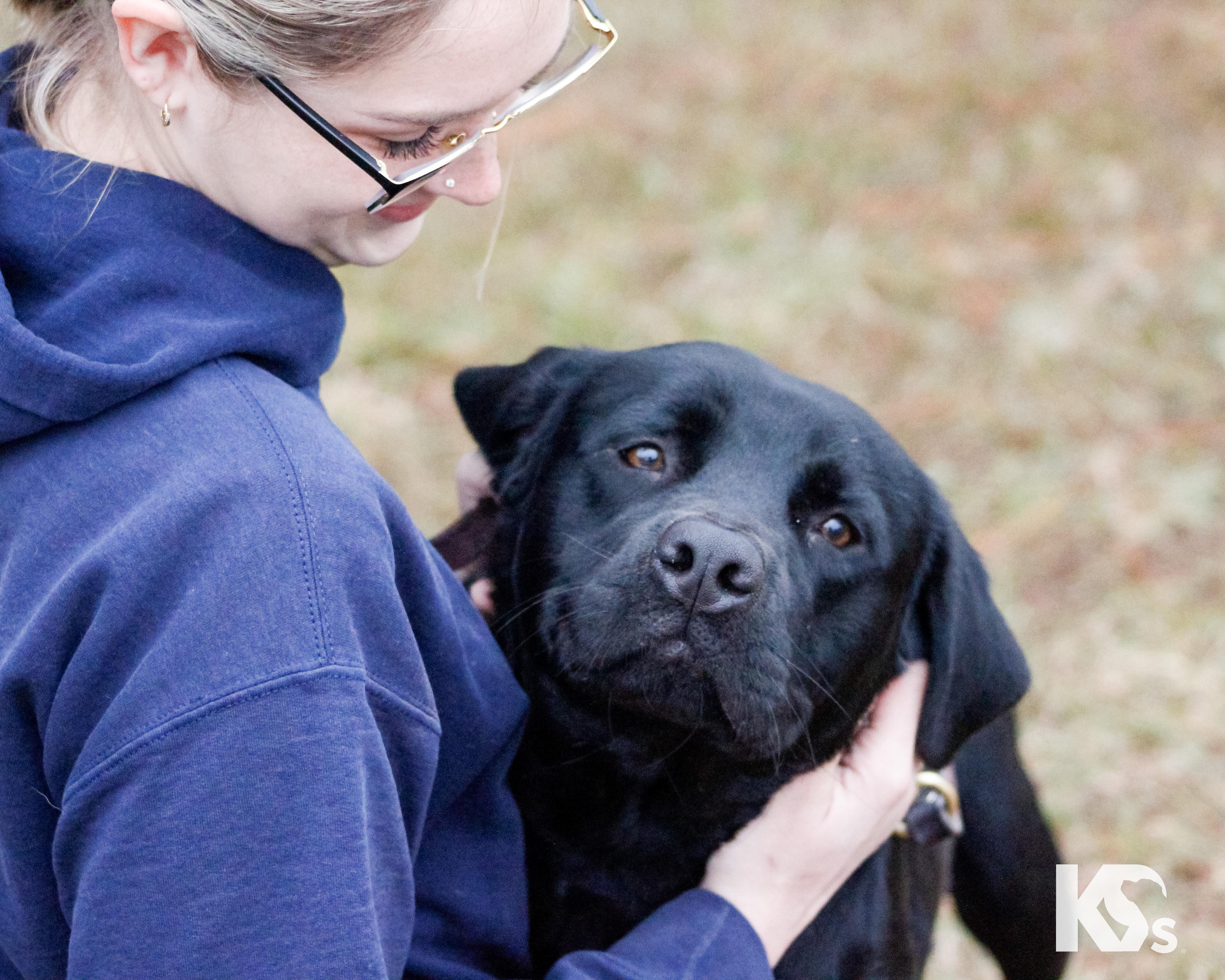 Spur, an adopted mixed breed in Ponte Vedra, FL image 1/6