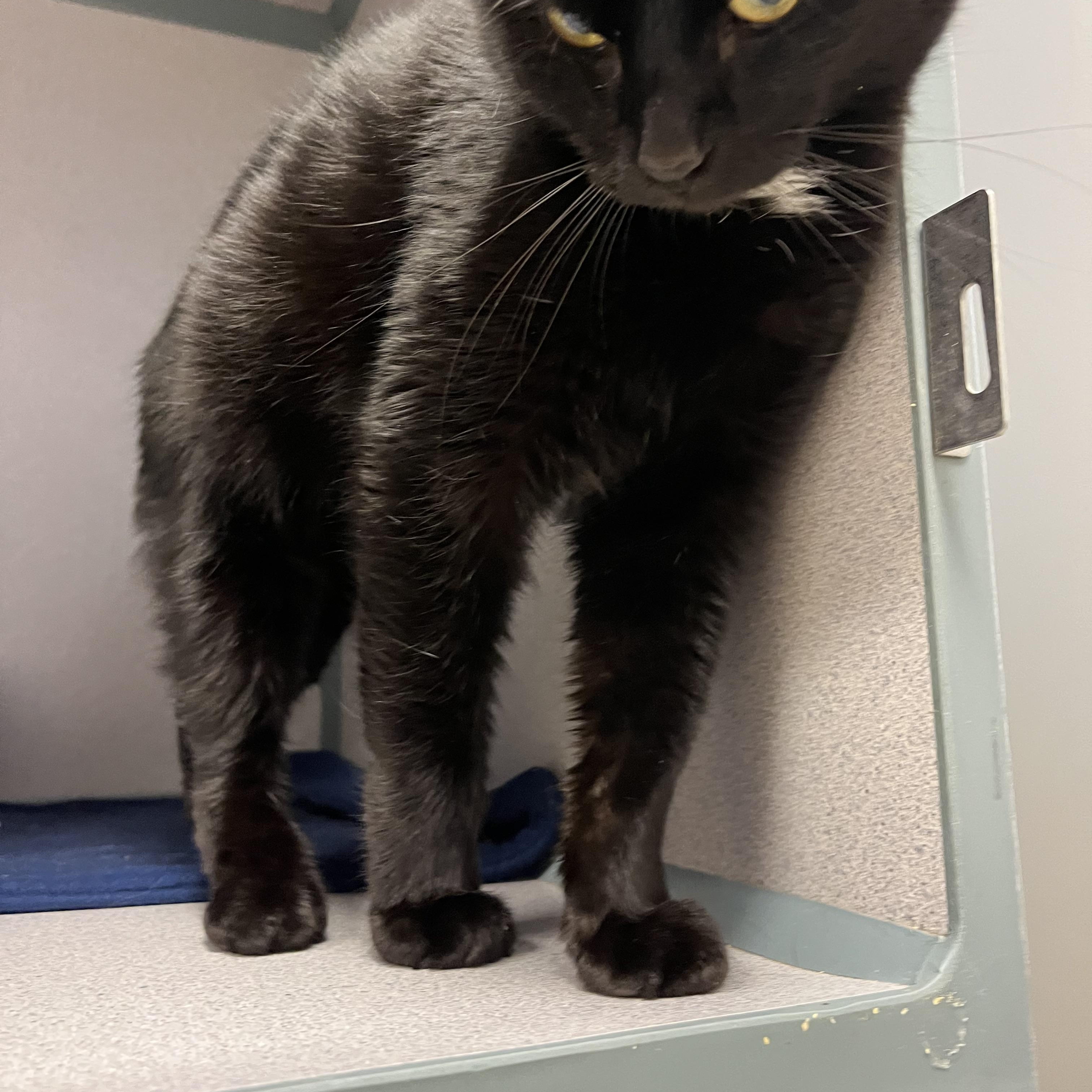 Tiny — thumbnail 2