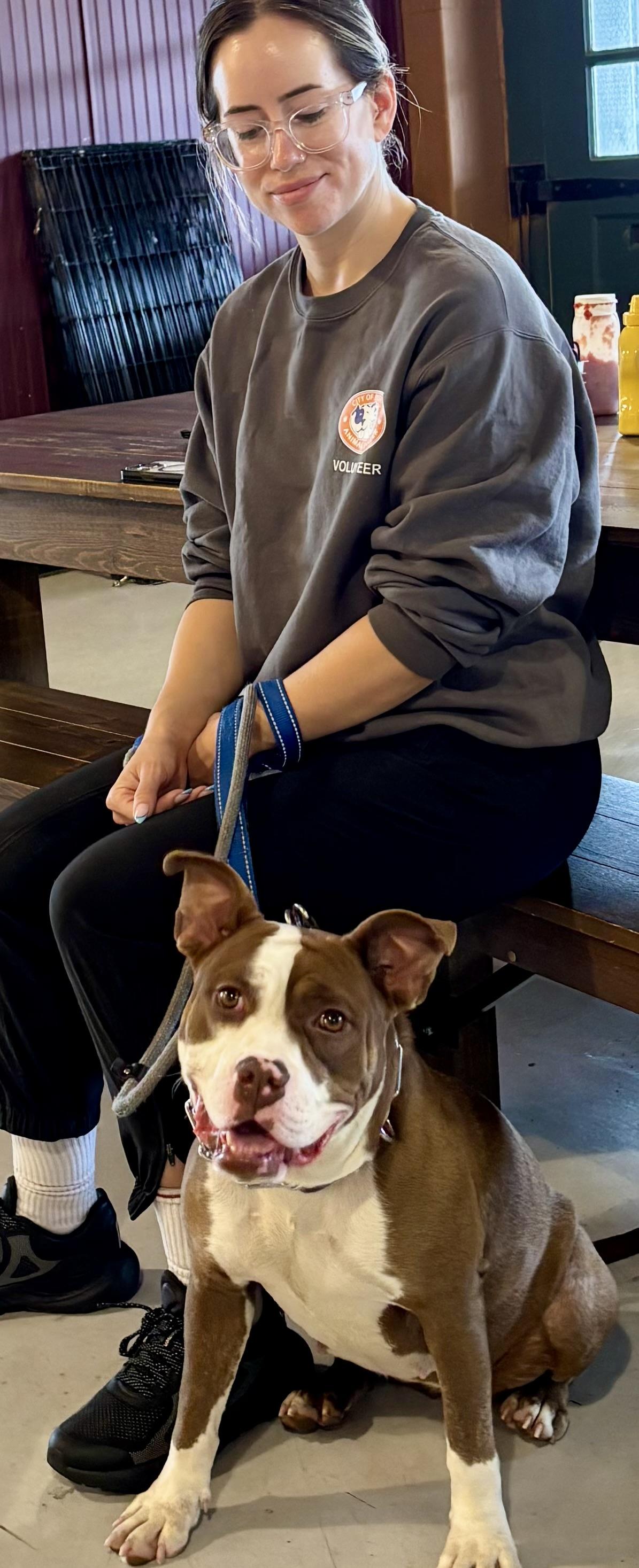 Enlarge Sylvia, a ADOPTABLE Pit Bull Terrier in Buffalo, NY image 5/6