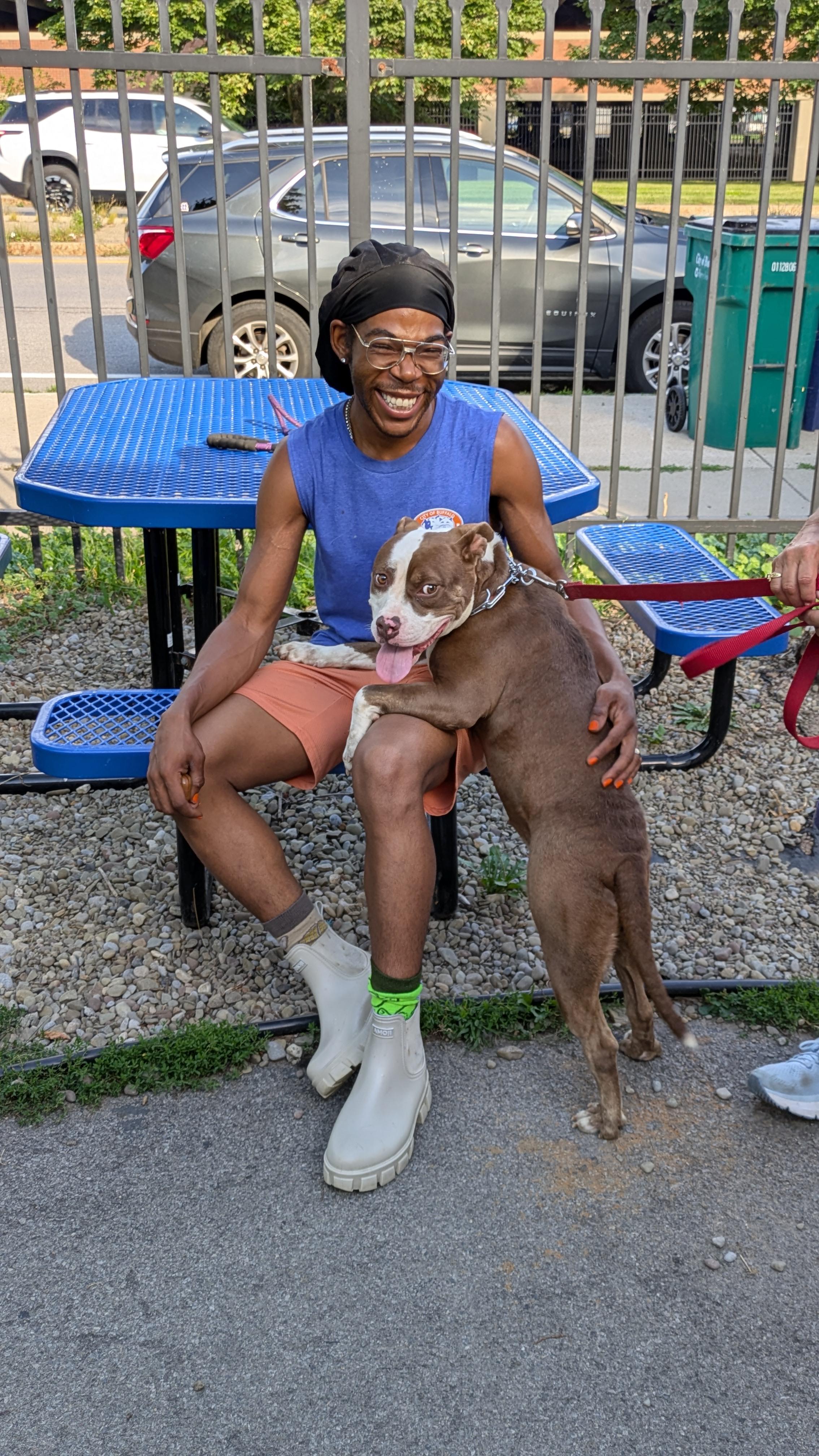 Enlarge Sylvia, a ADOPTABLE mixed breed in Buffalo, NY image 5/6