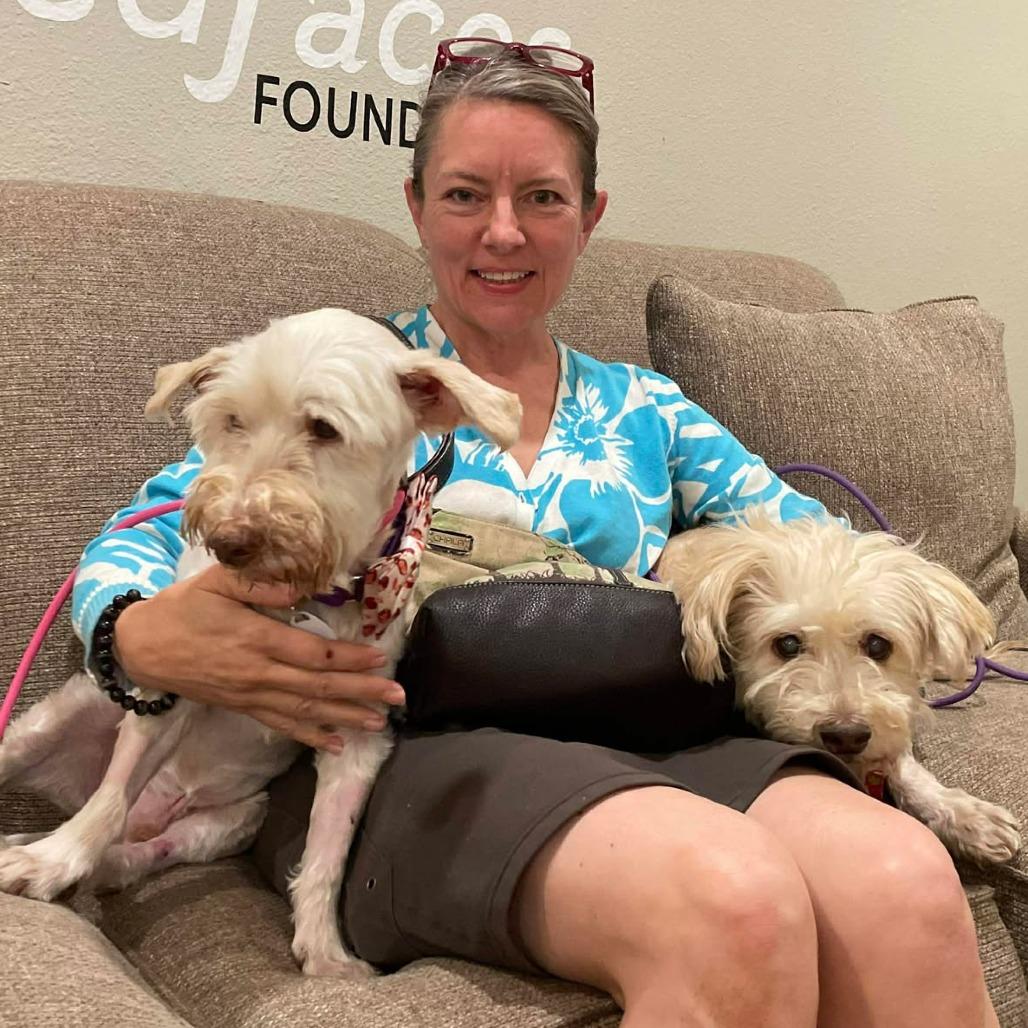 Enlarge Heckle, a Adoptable Schnauzer in Ramona, CA image 2/5