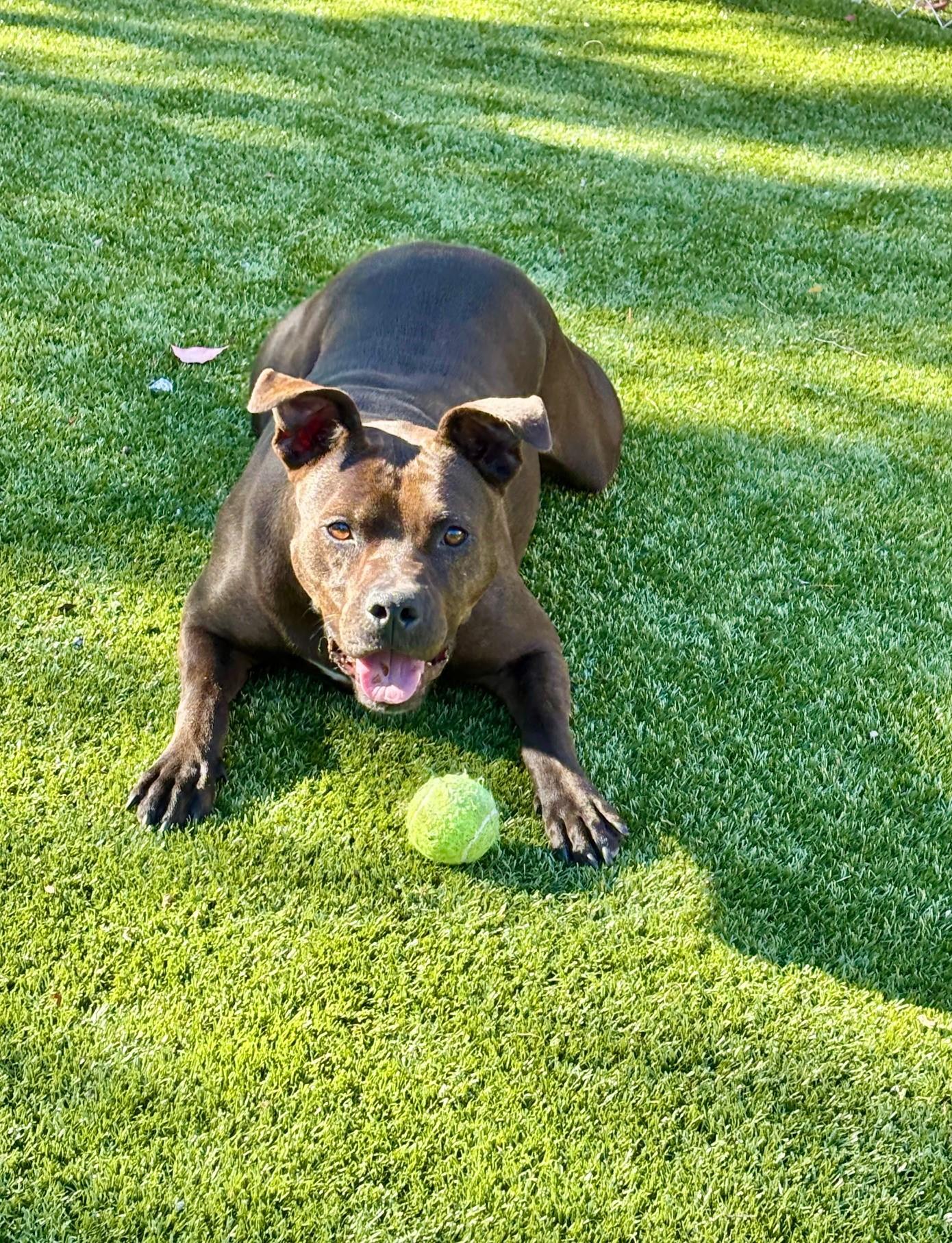 Reina — thumbnail 2