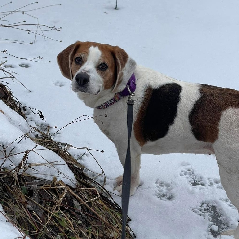 Eden Grace thumbnail 4