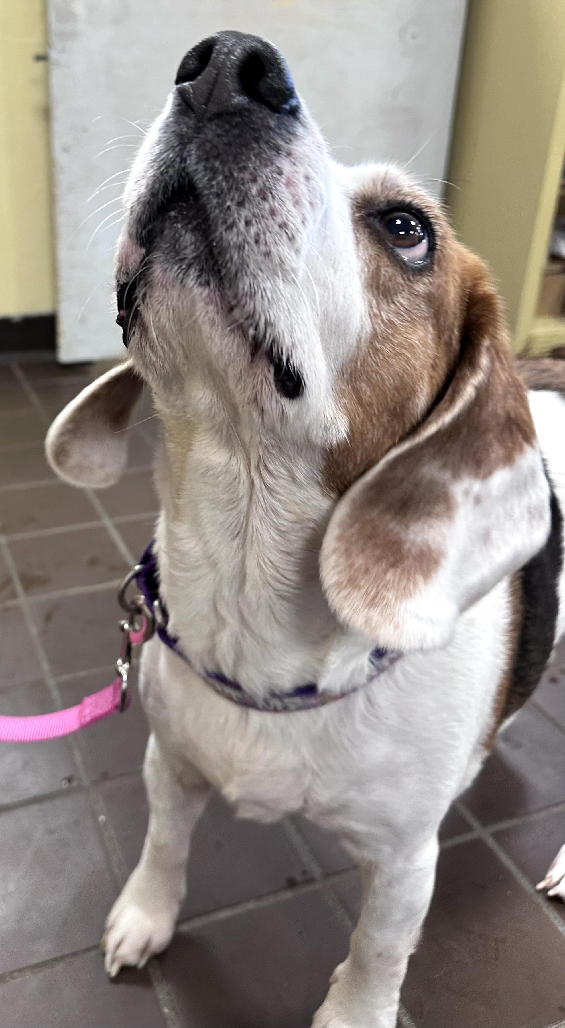 Eden Grace thumbnail 5