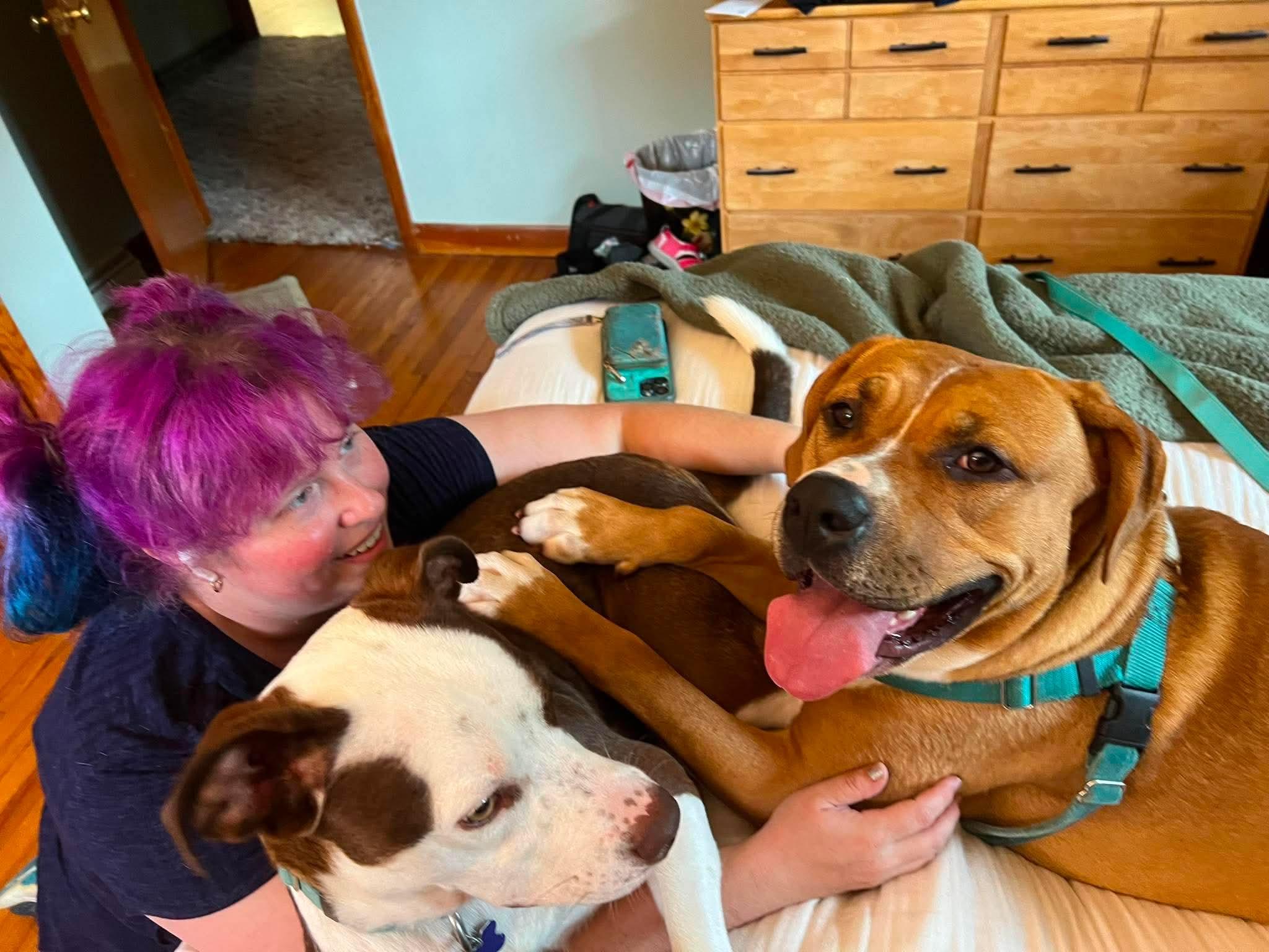 Enlarge Fairy Dust, a Adoptable Mixed Breed in Marshall, NC image 3/6