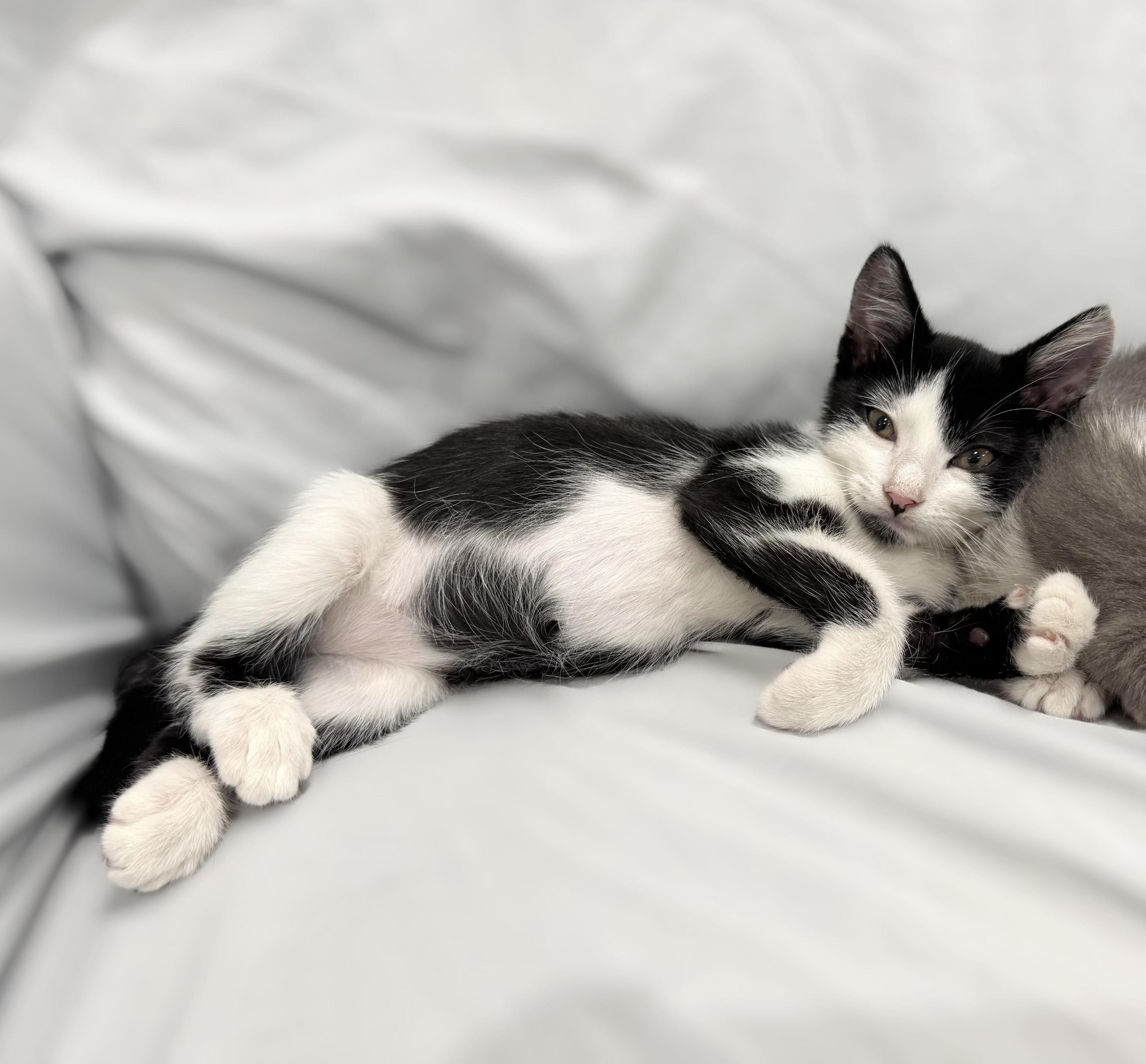 Apple & Banana #bonded-siblings