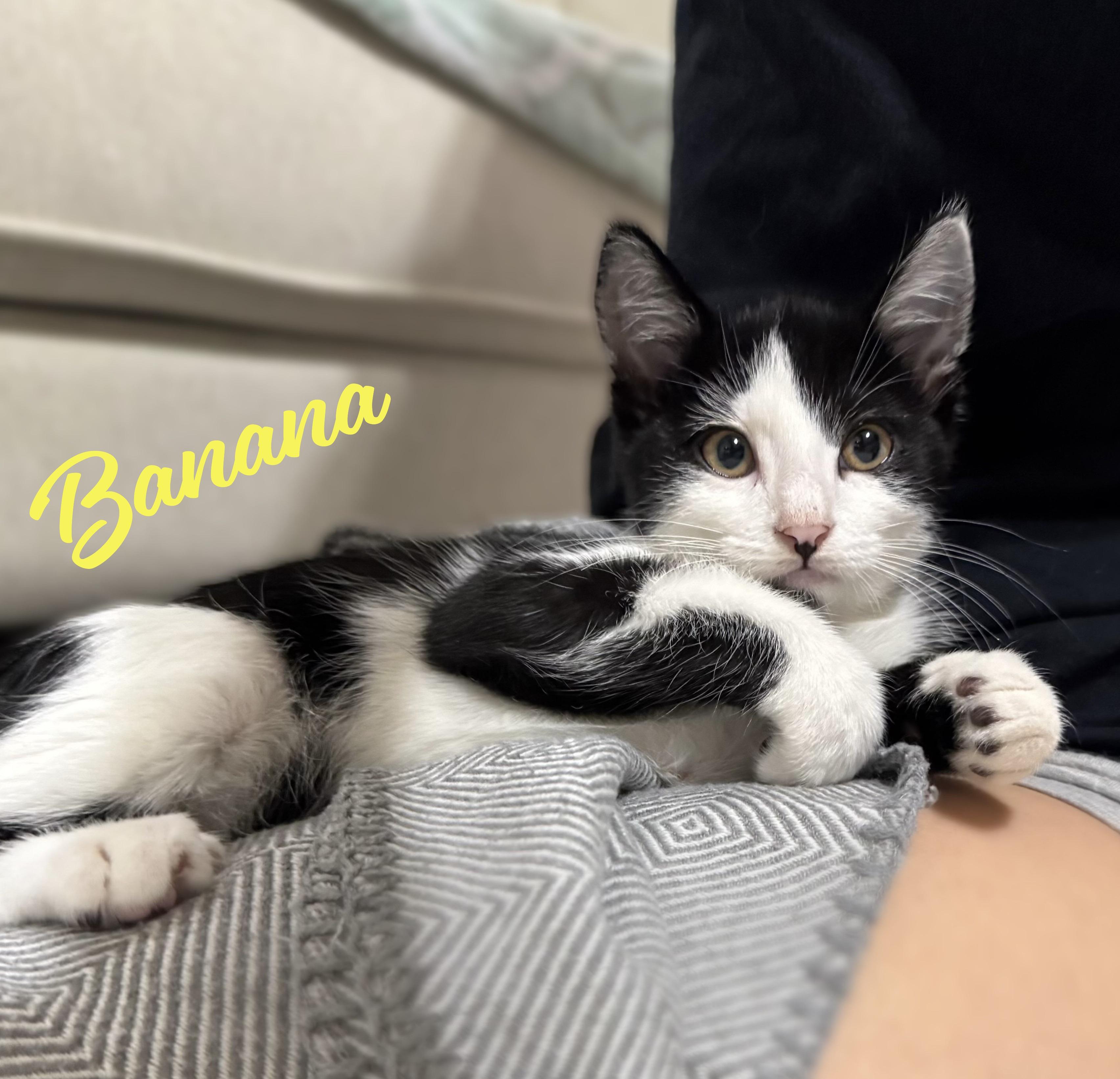 Apple & Banana #bonded-siblings