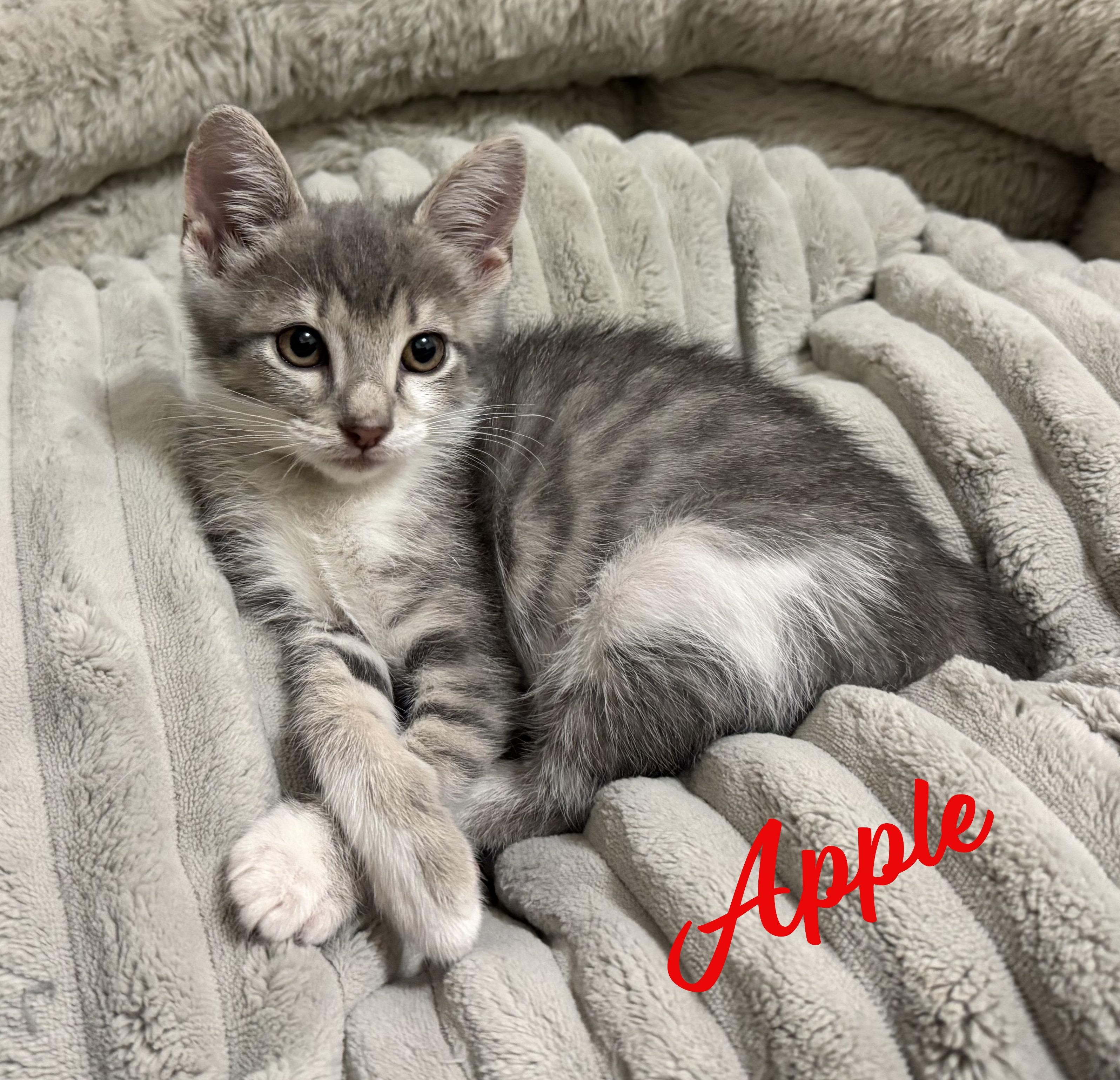 Apple & Banana #bonded-siblings