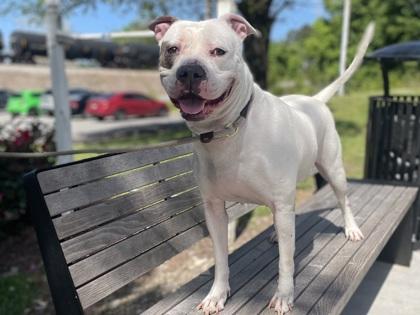 MERCY — thumbnail 2