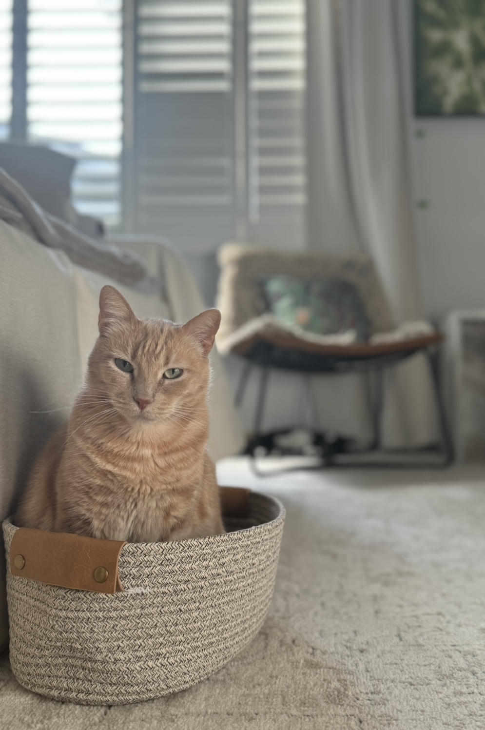 Molly