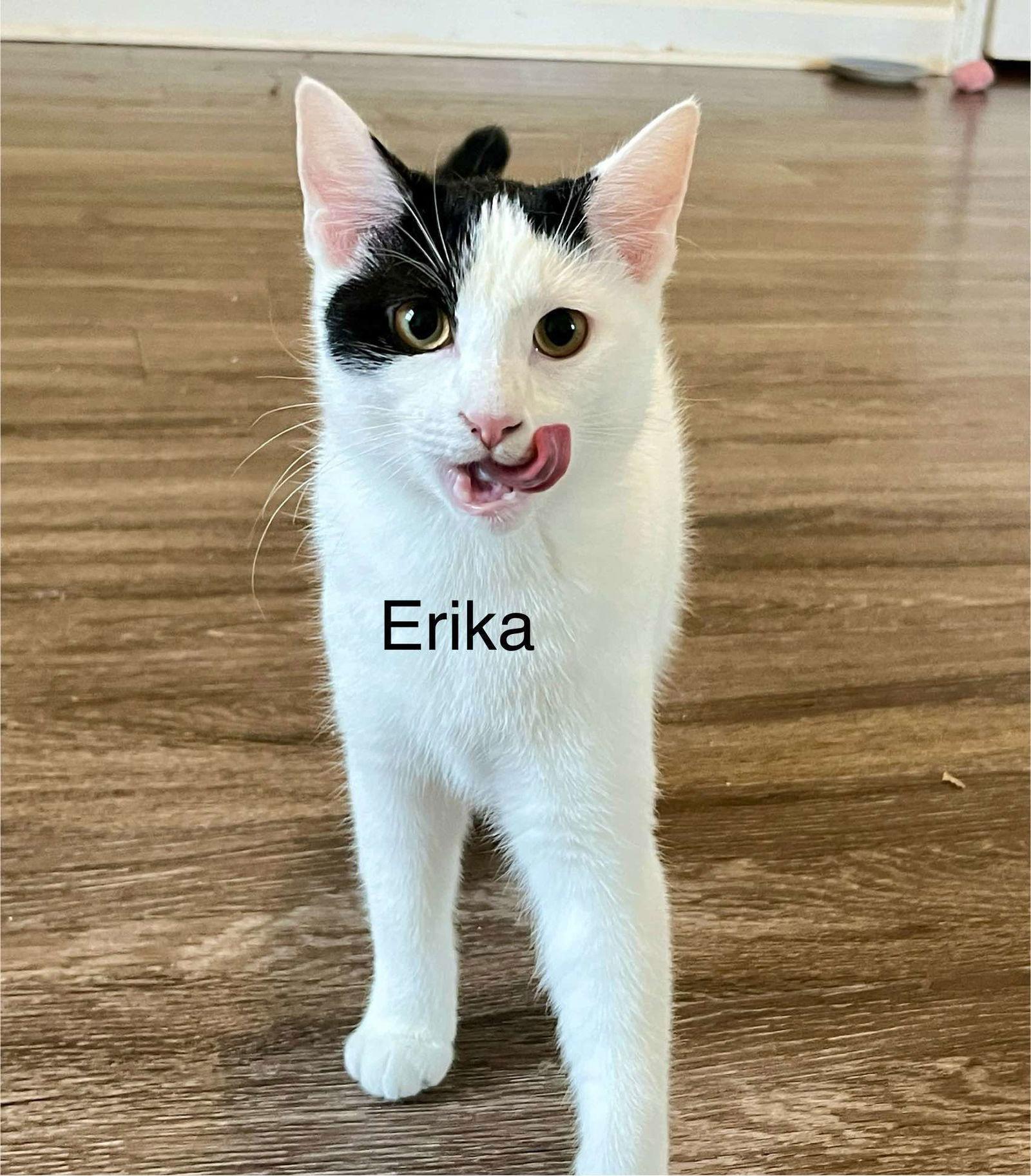 Erika thumbnail 2