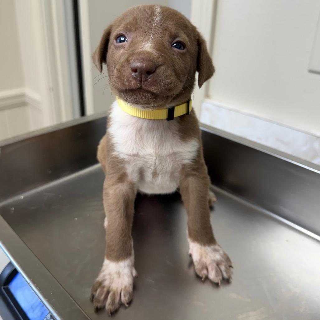 TUSC-Stray-83491_2_3_4_5_6_7