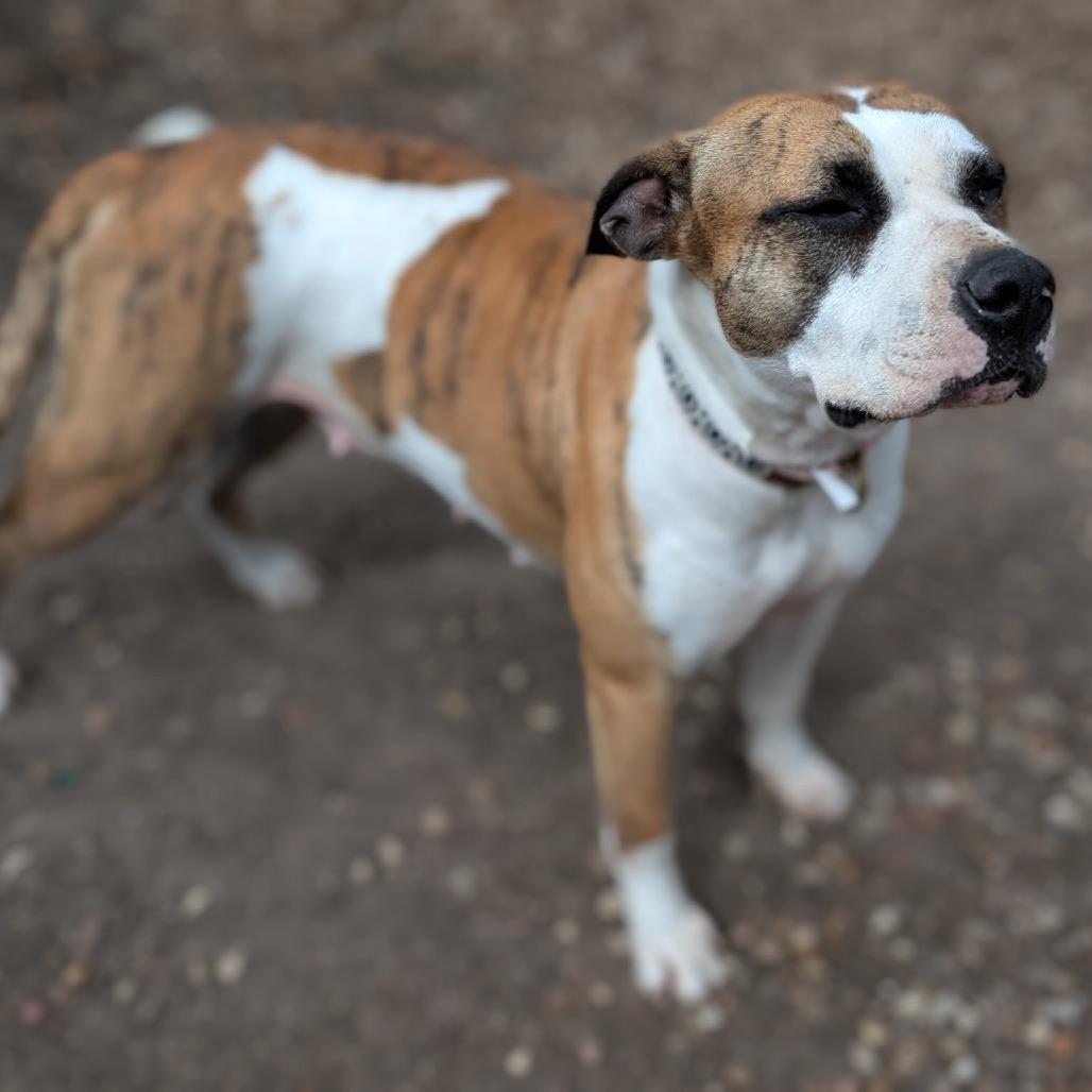 Penelope — thumbnail 2