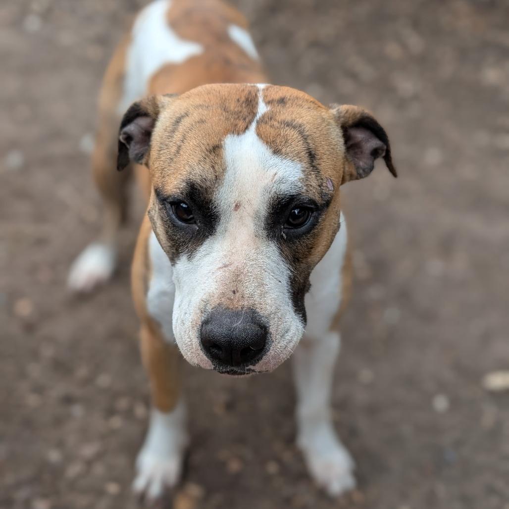 Penelope — thumbnail 5