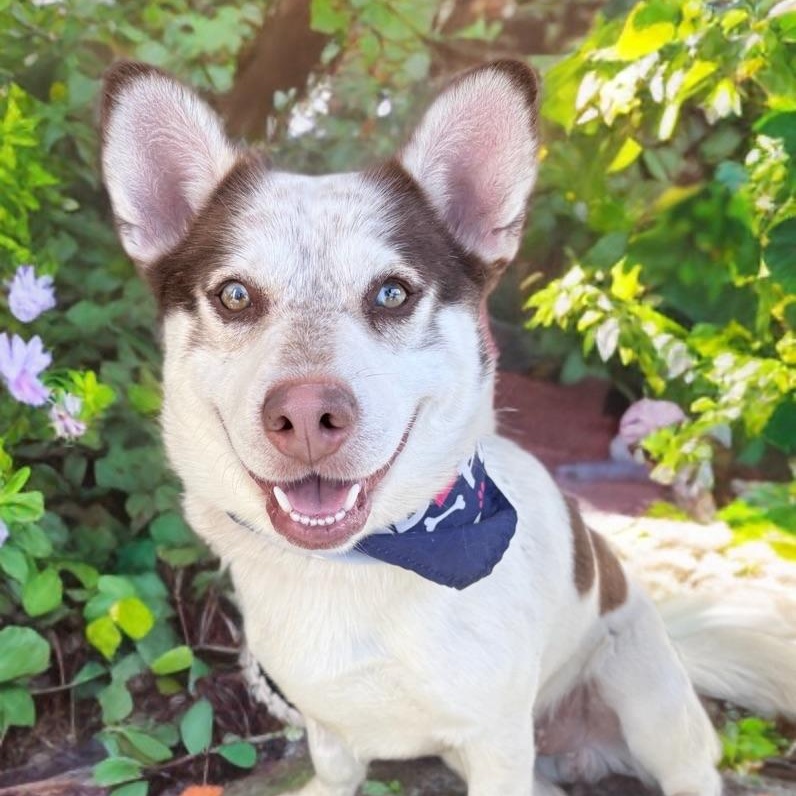 Oakley — thumbnail 2