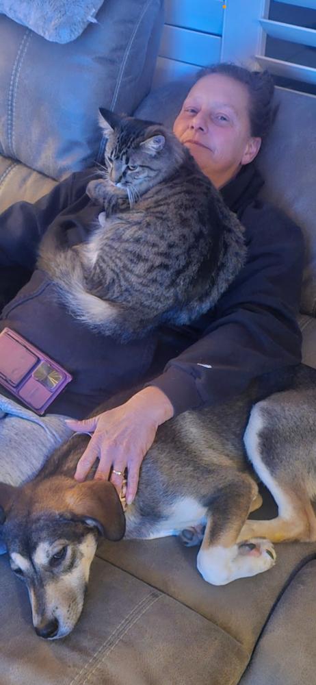 Enlarge Babs Bunny, a Adoptable mixed breed in Lafayette, CO image 5/6