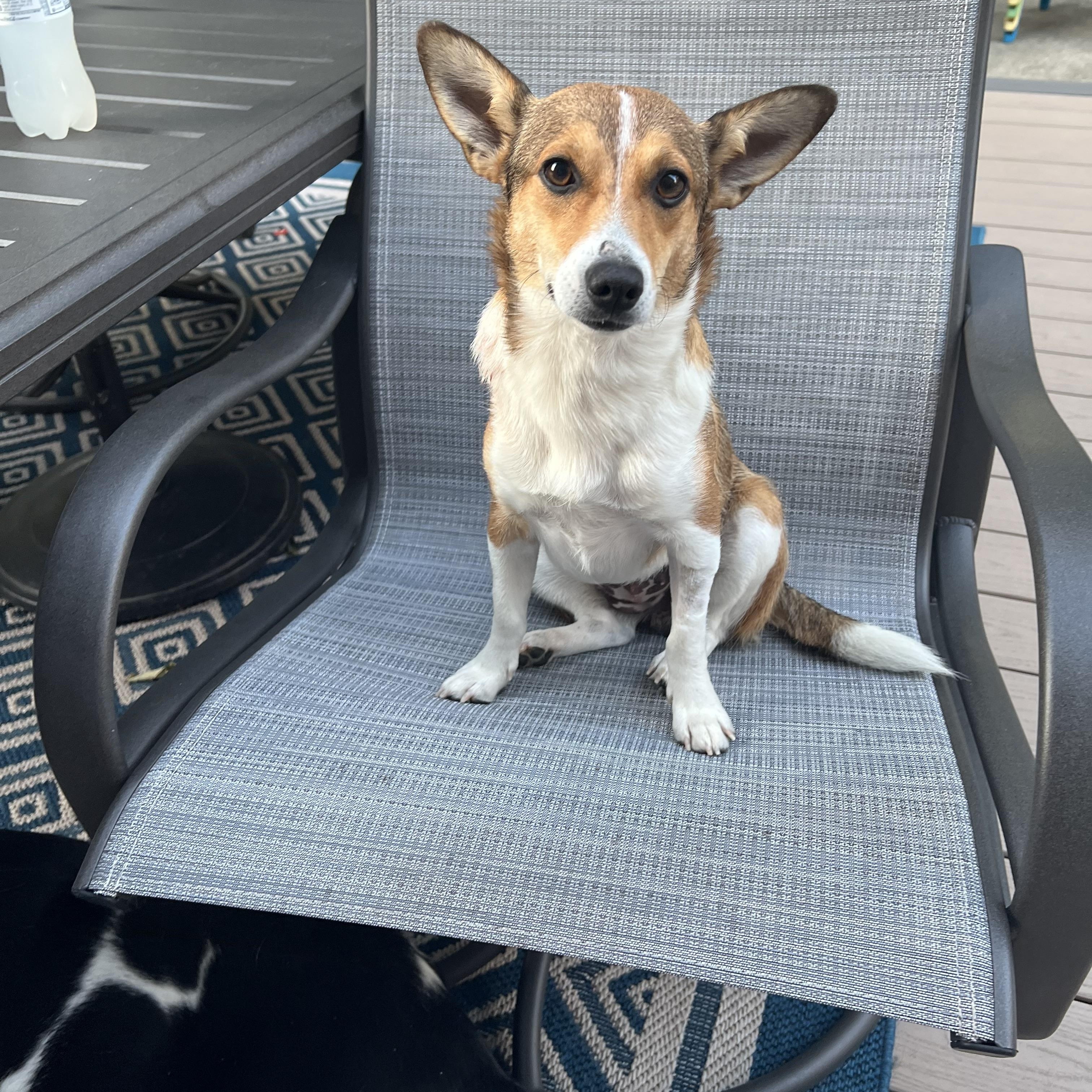 ROSIE