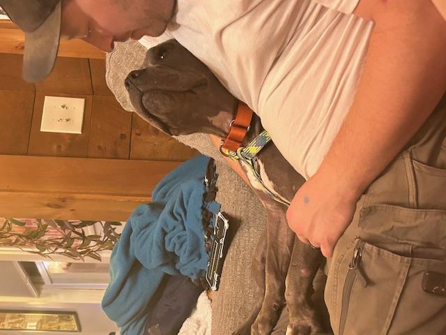 Ruthie, a Adoptable mixed breed in Ferrisburgh, VT image 4/6