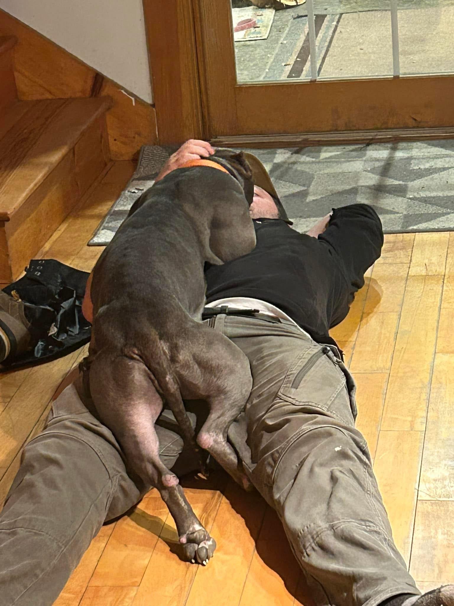 Ruthie, a Adoptable mixed breed in Ferrisburgh, VT image 5/6