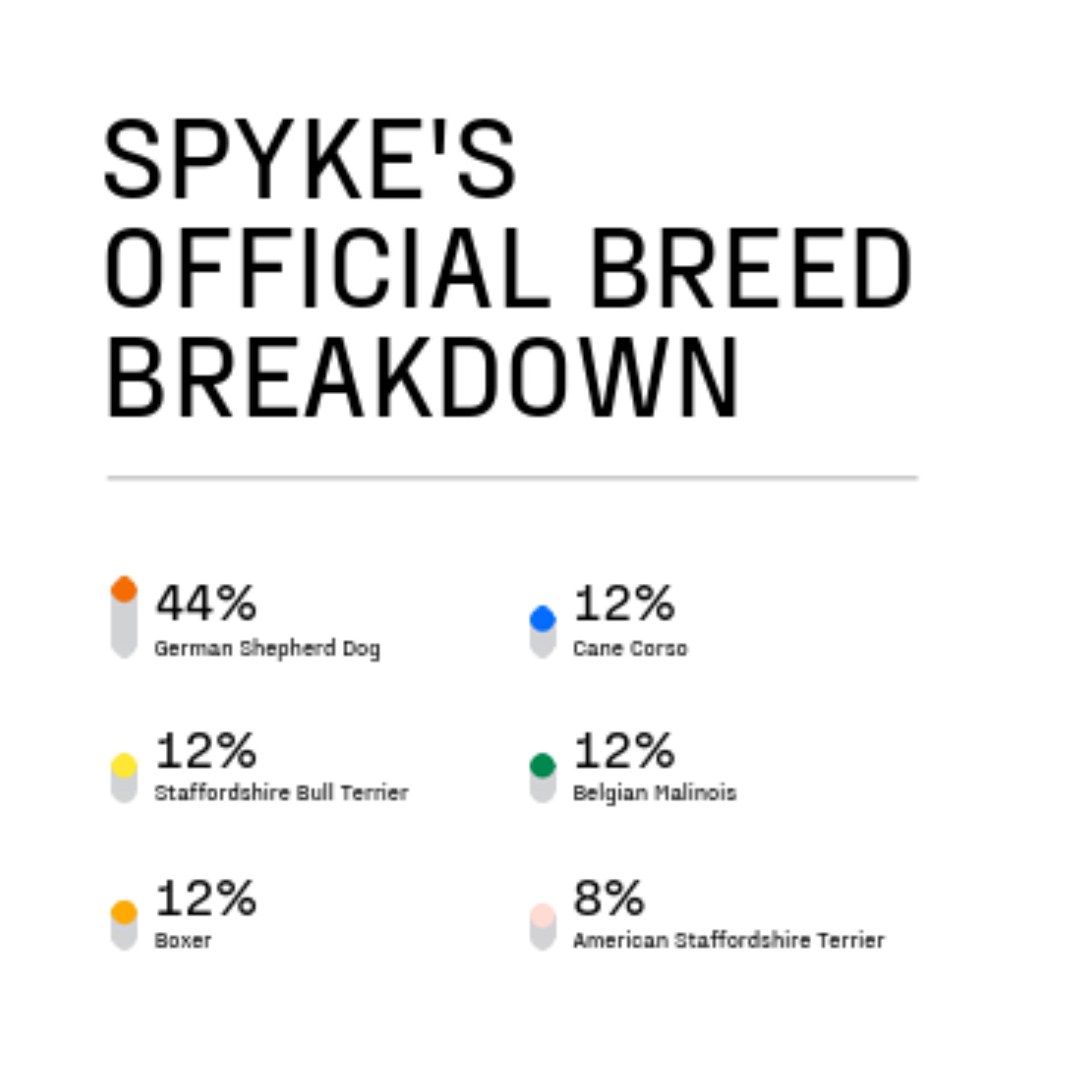 Spyke, an adoptable mixed breed in Lake Odessa, MI image 6/6
