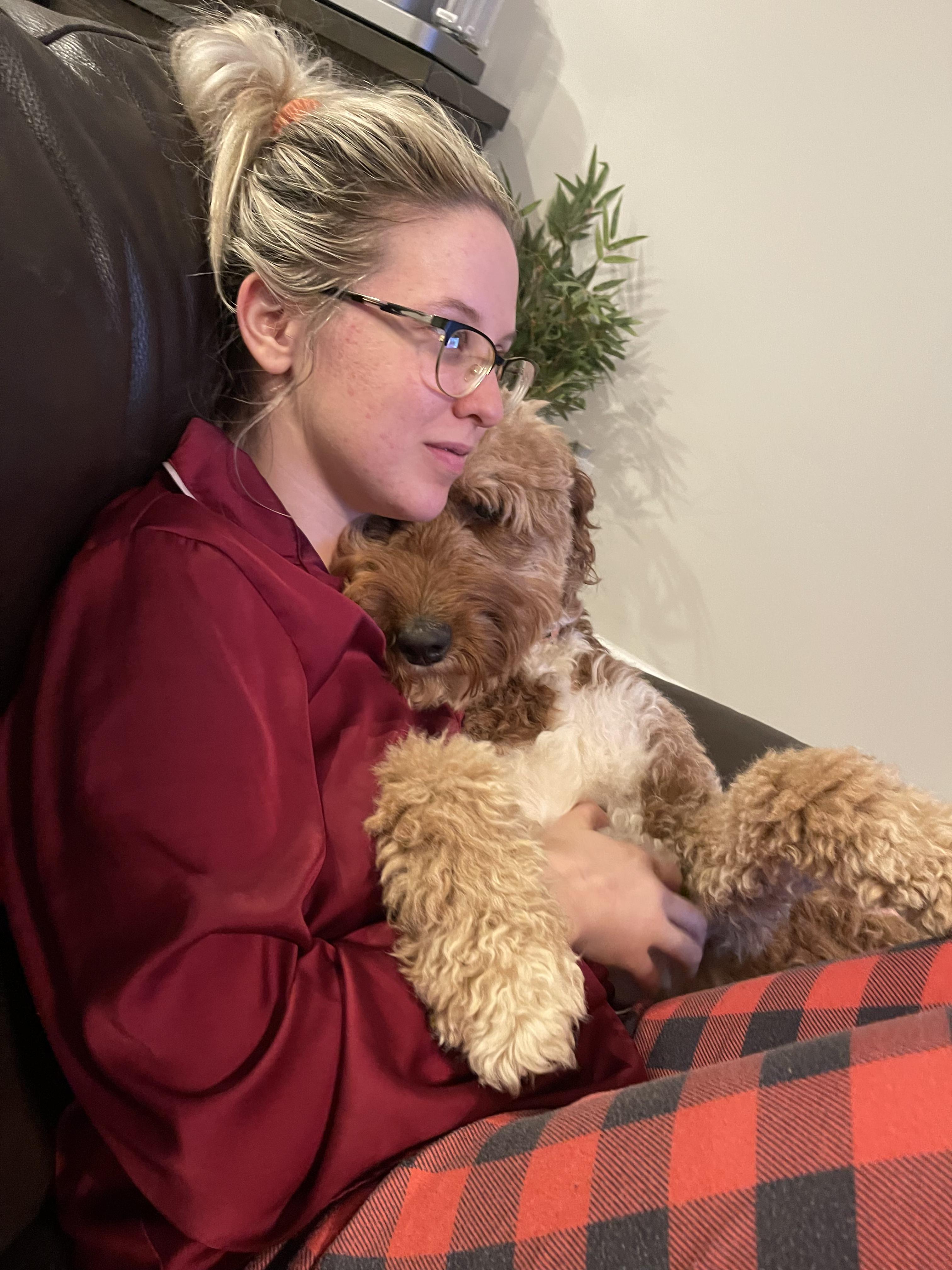 Paige, an adopted Goldendoodle in Marietta, GA image 4/5