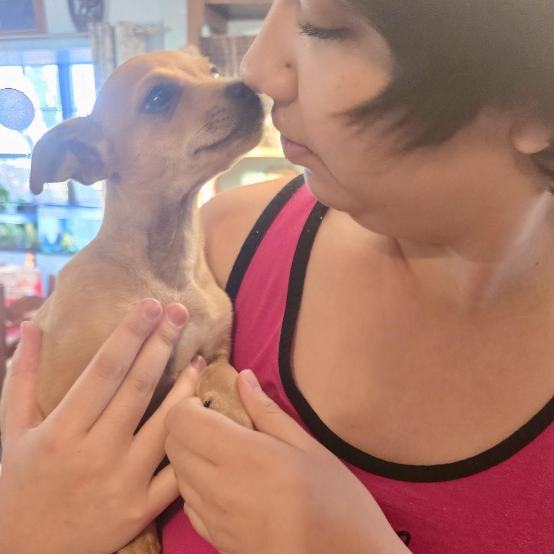 Enlarge Kai, a ADOPTABLE mixed breed in Marfa, TX image 5/5