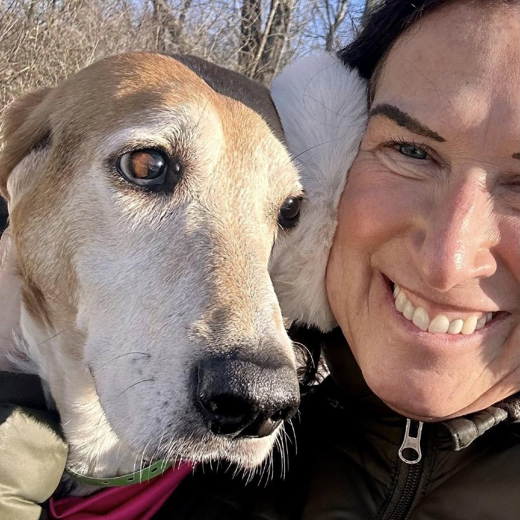 Enlarge Trixie, a Adoptable Beagle in Fort Wayne, IN image 4/6