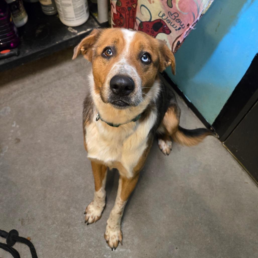 Monroe — thumbnail 2