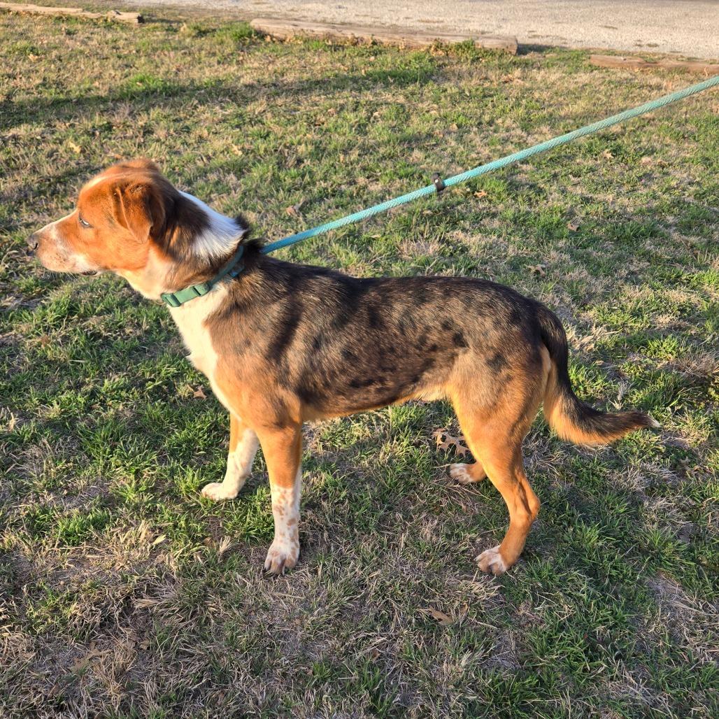 Monroe — thumbnail 3