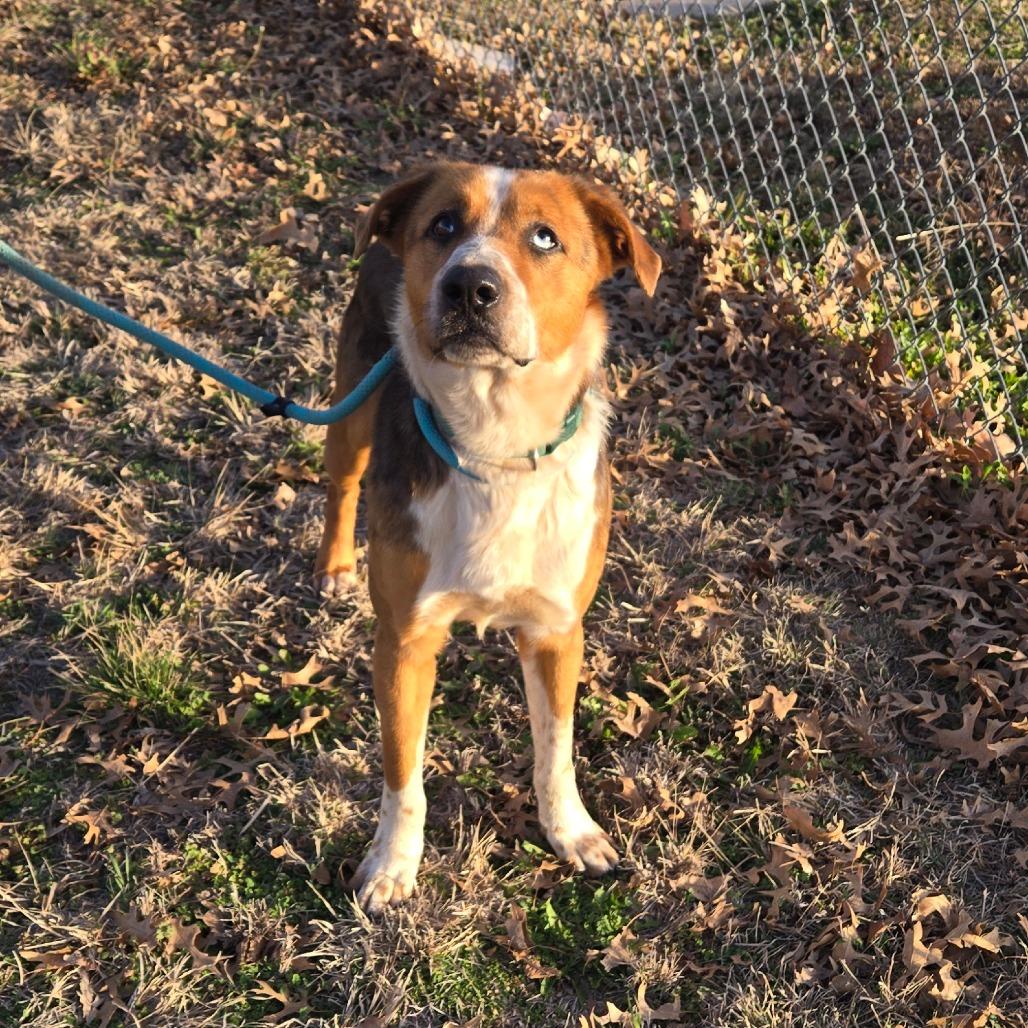 Monroe — thumbnail 4