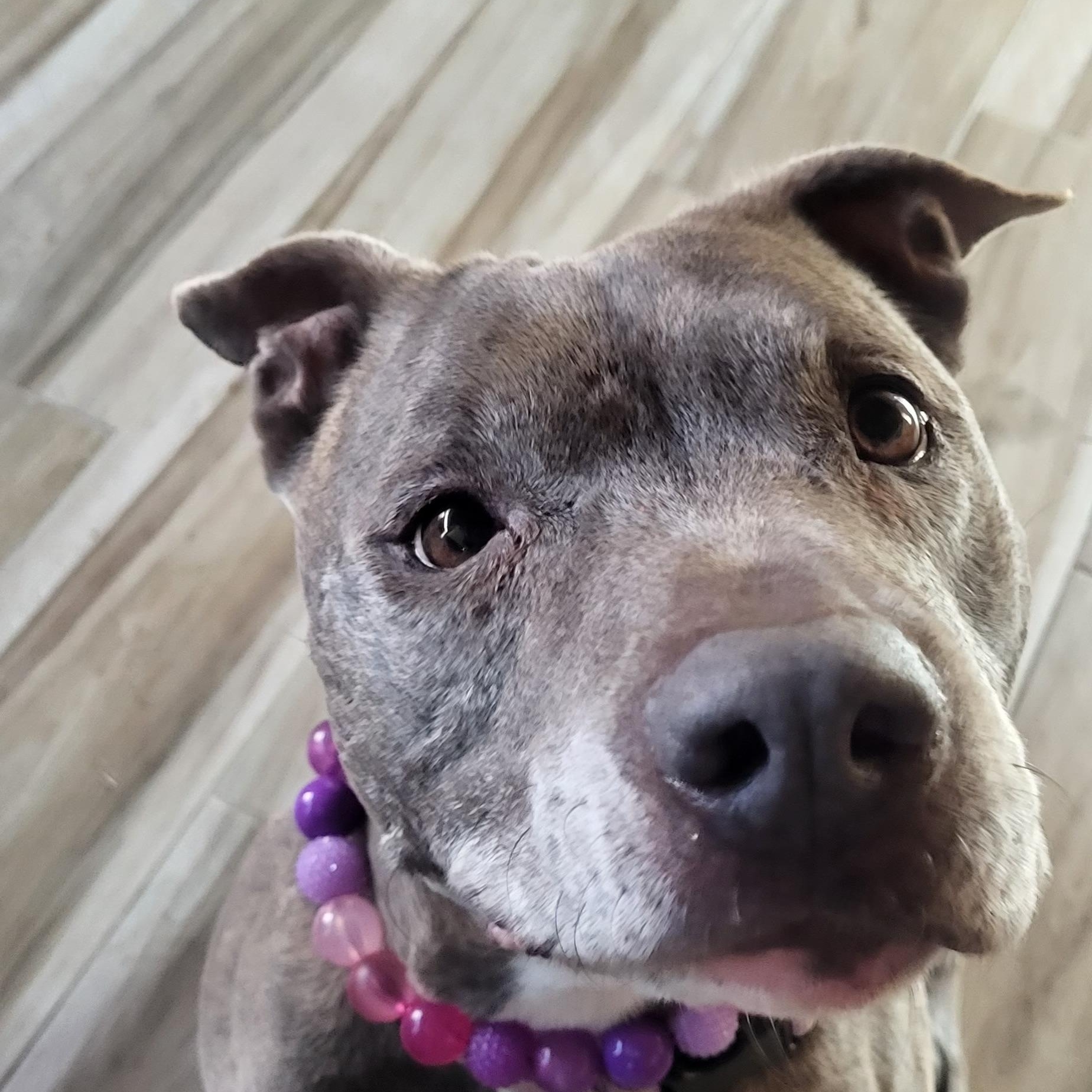 Sadie