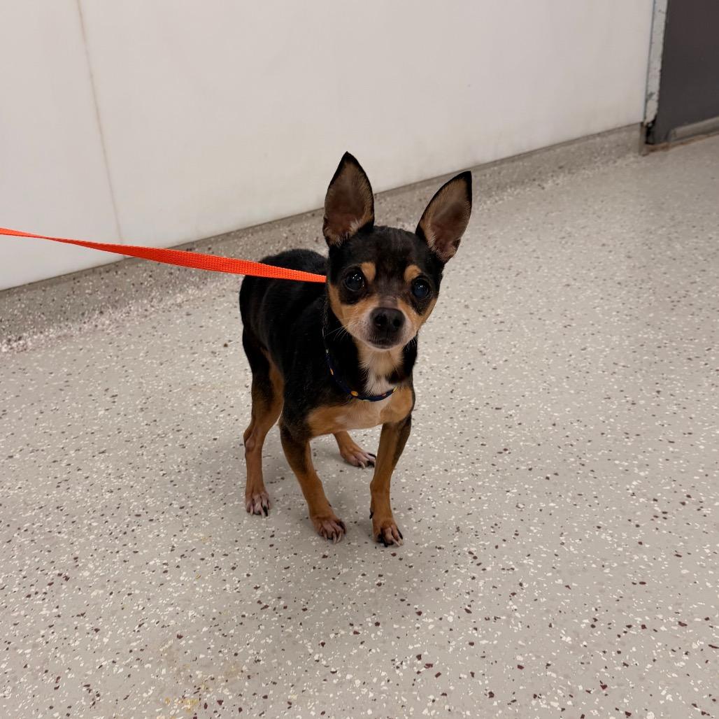 Papa John — thumbnail 2