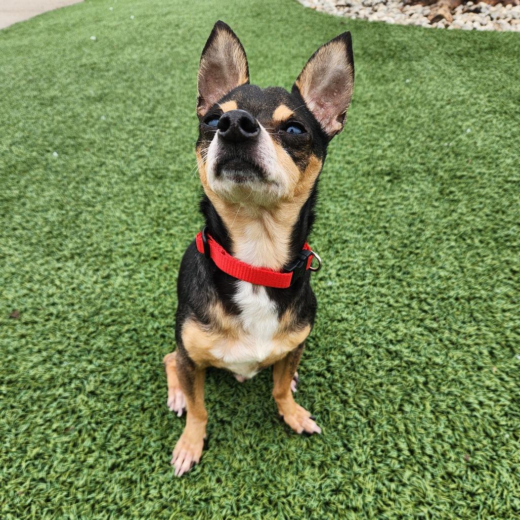 Papa John — thumbnail 3