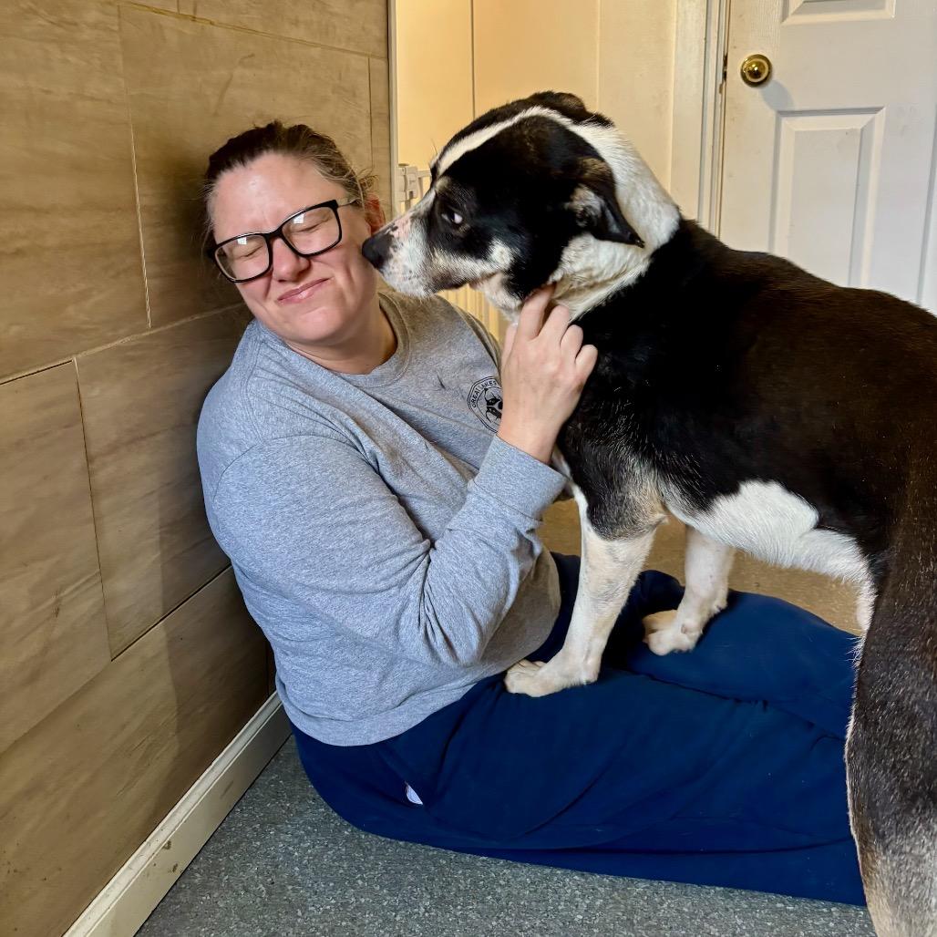 Pythagoras, a Adoptable mixed breed in Metamora, MI image 5/5