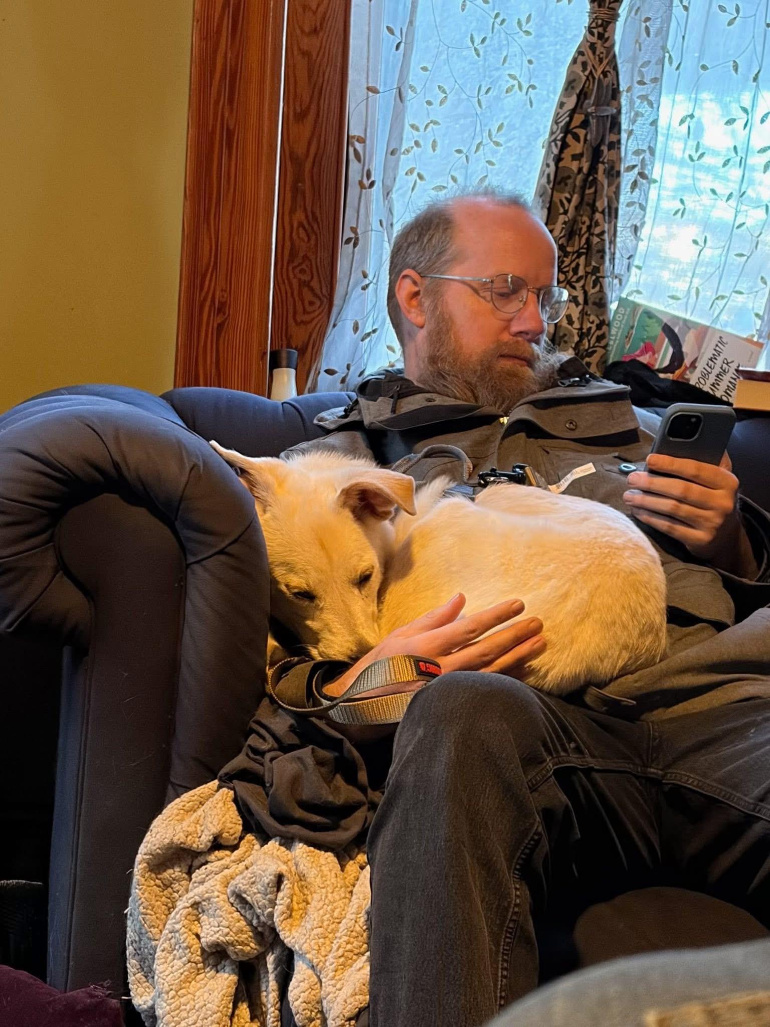 Everett, an adopted Shepherd in Breinigsville, PA image 4/4