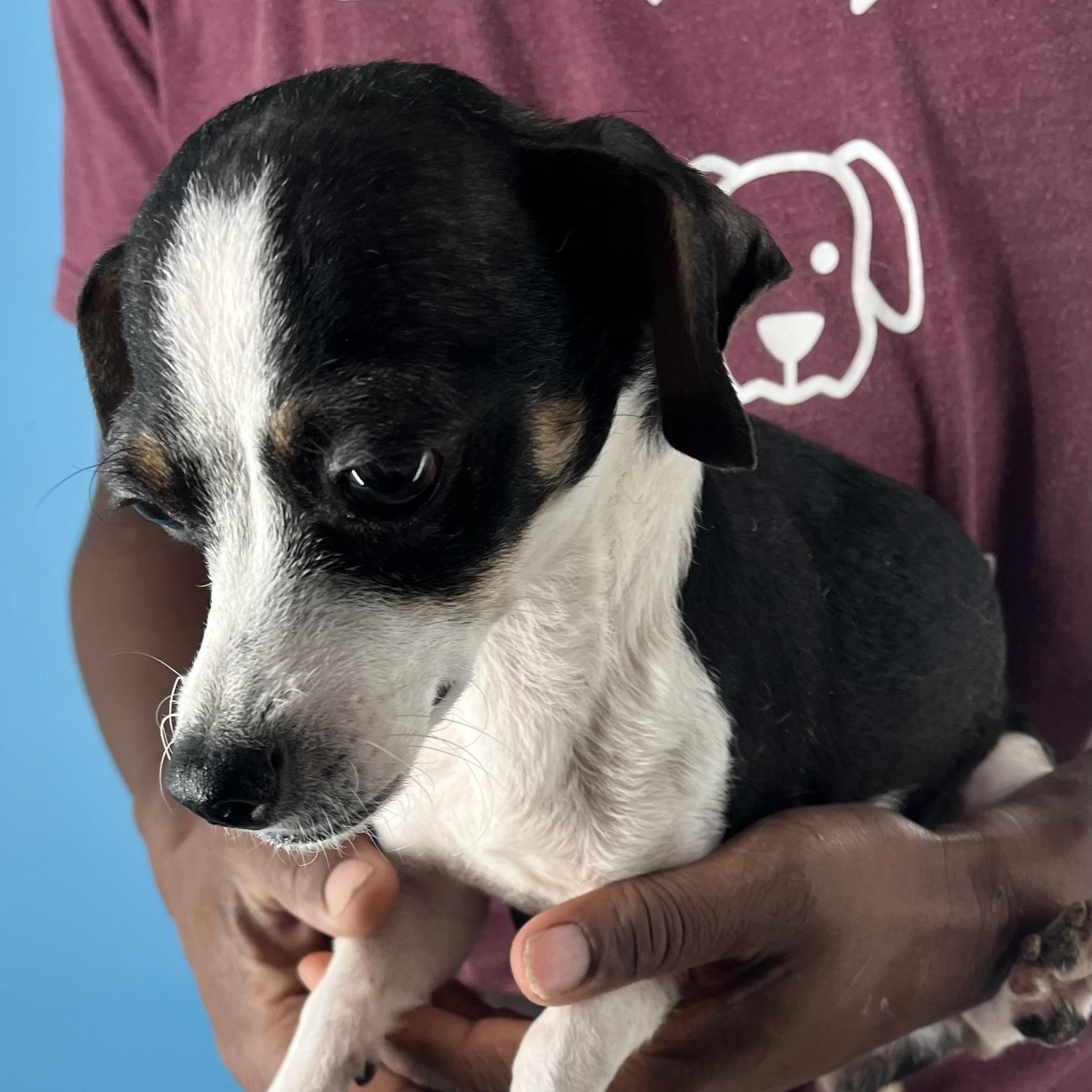 Frida  Local Dec thumbnail 3