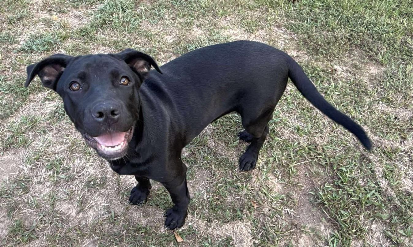 Christy *HERE IN NH* 5