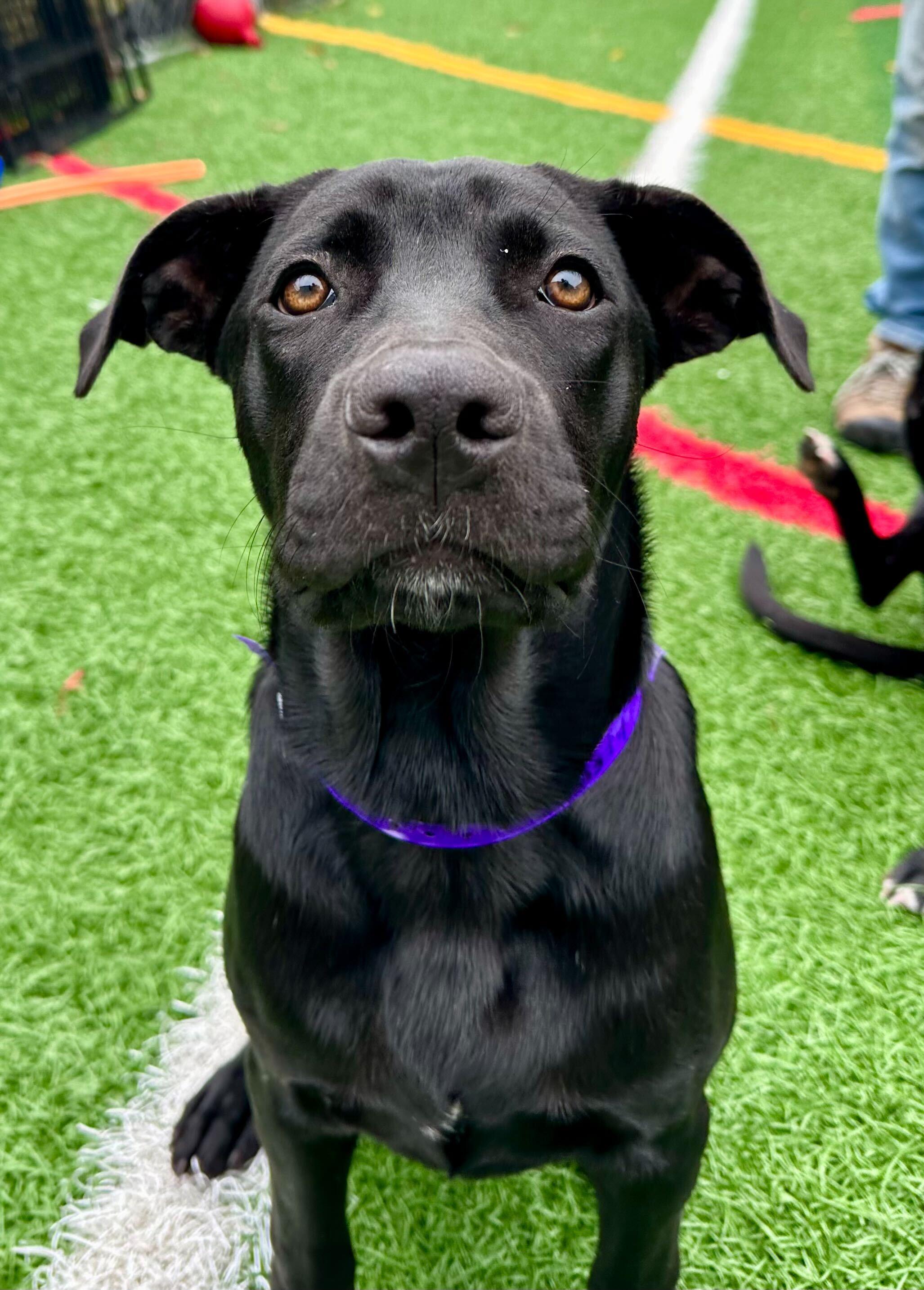 Christy *HERE IN NH* 2