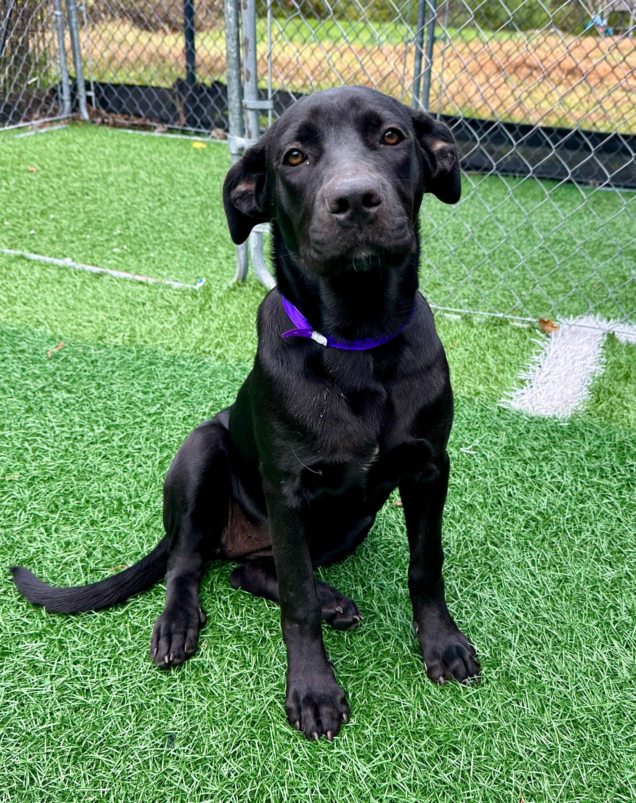 Christy *HERE IN NH* 3