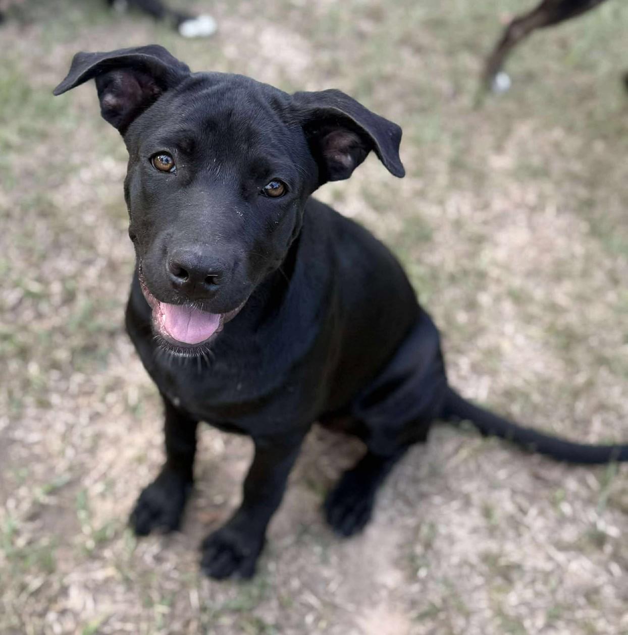 Christy *HERE IN NH* 6