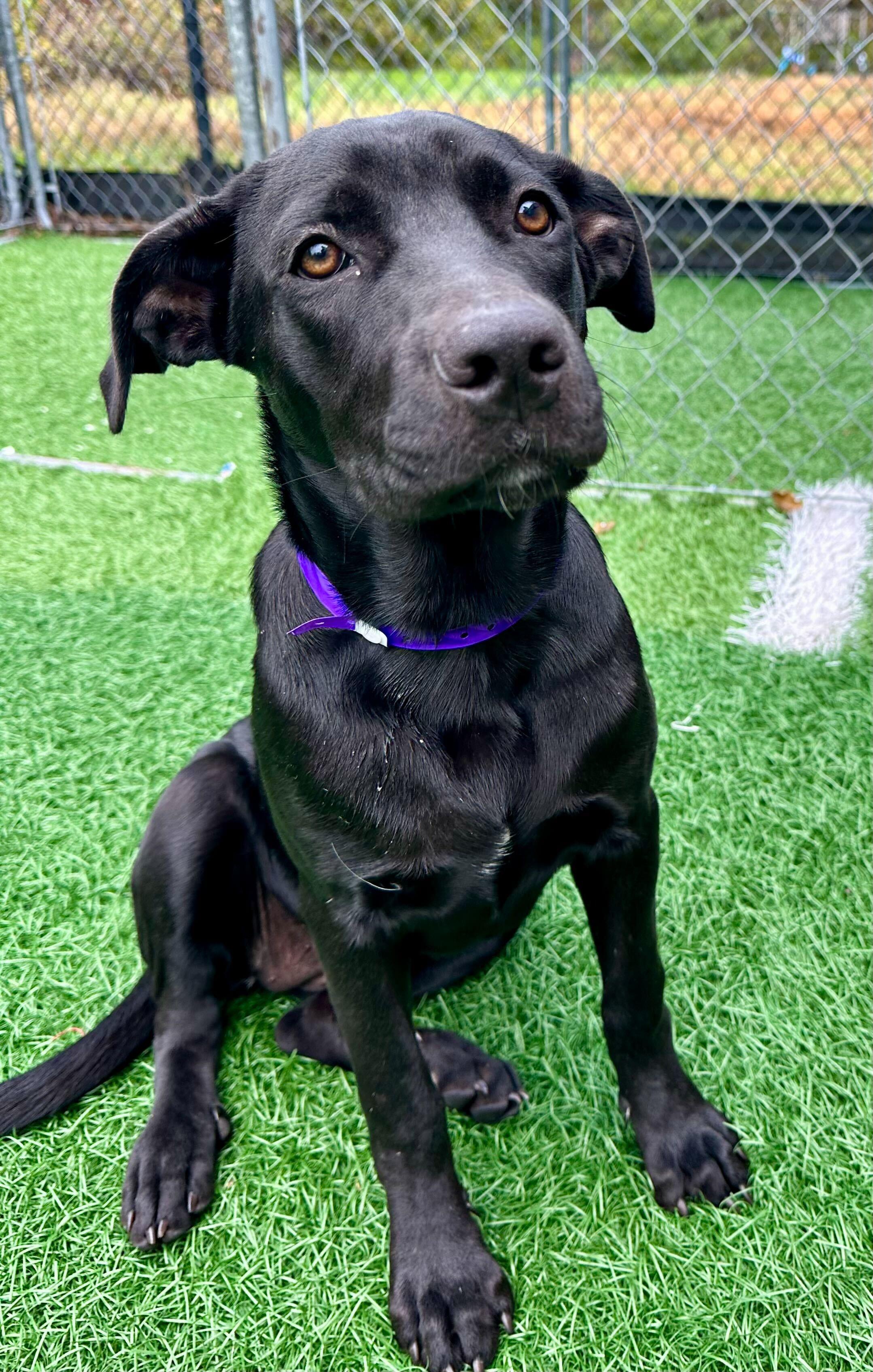 Christy *HERE IN NH* 4