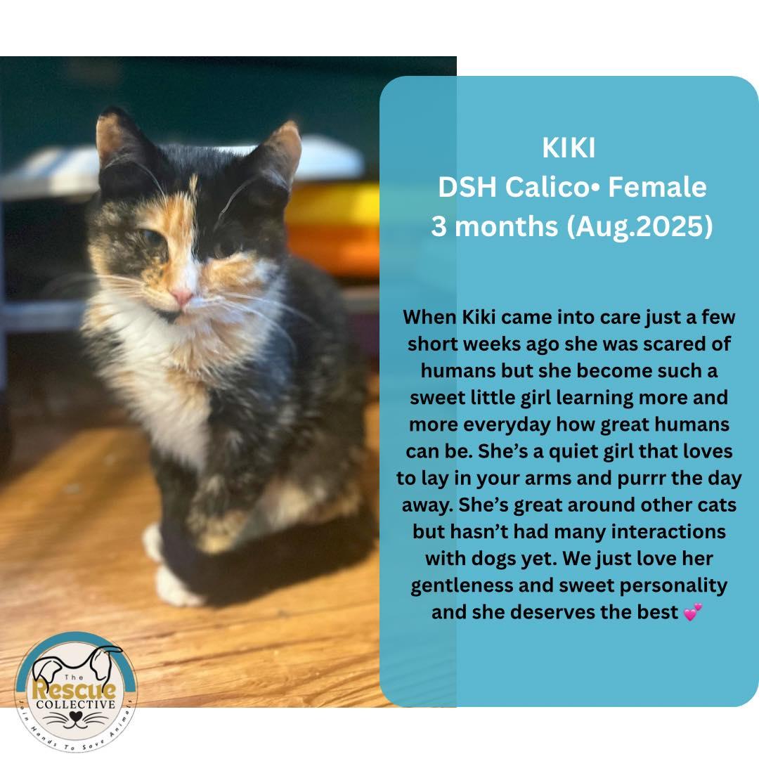 Kiki