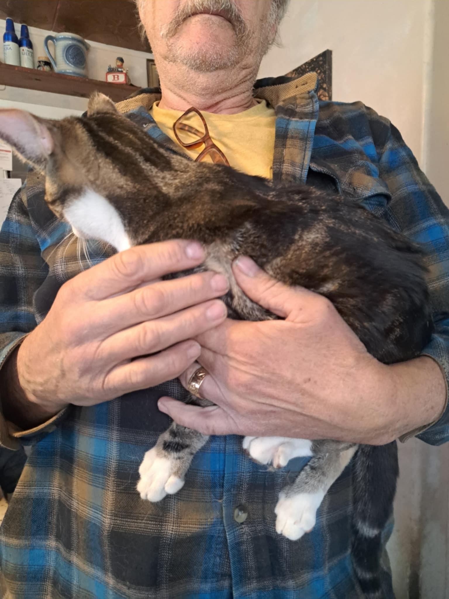 Pierce Hawkeye Jones