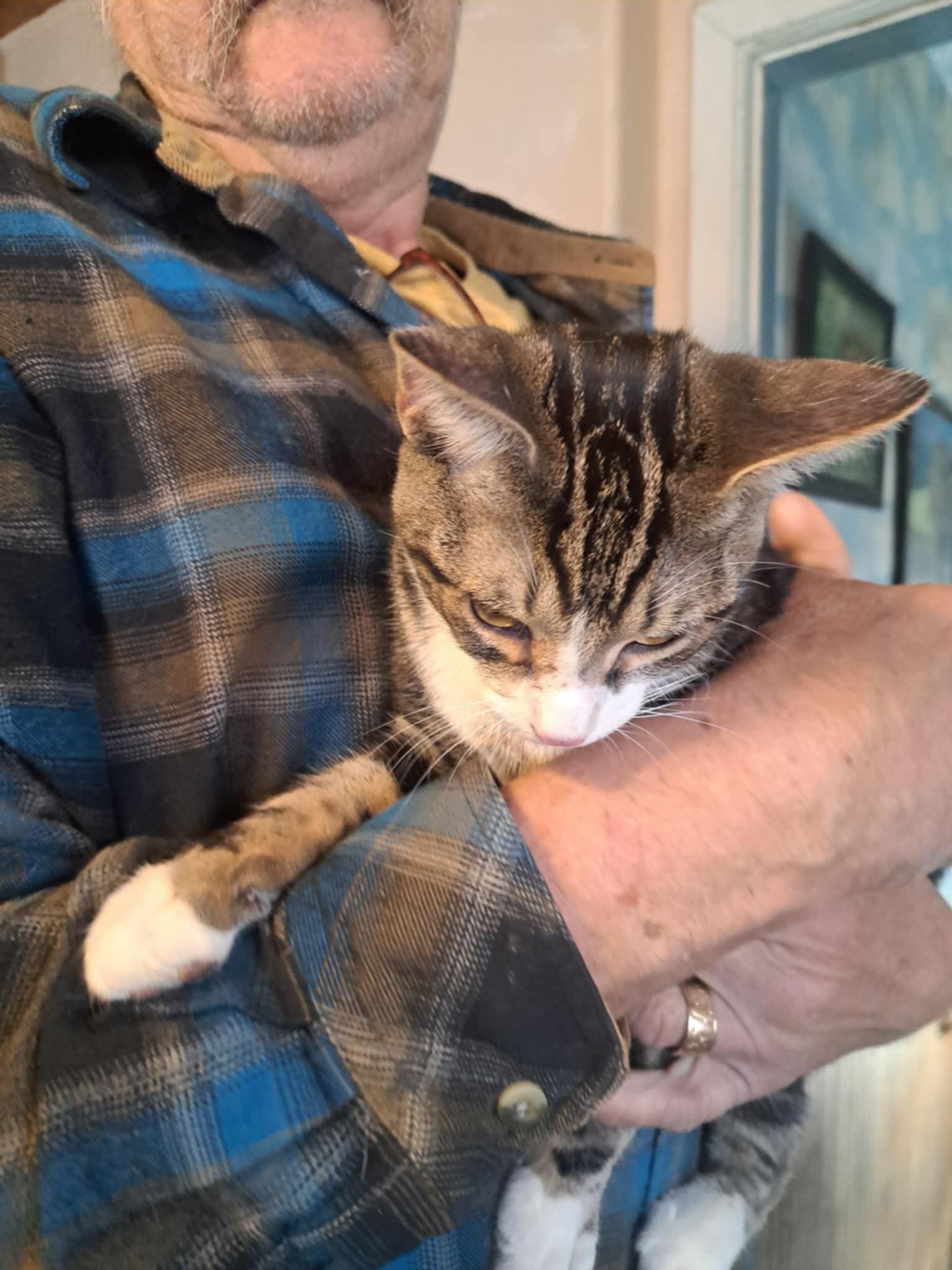 Pierce Hawkeye Jones