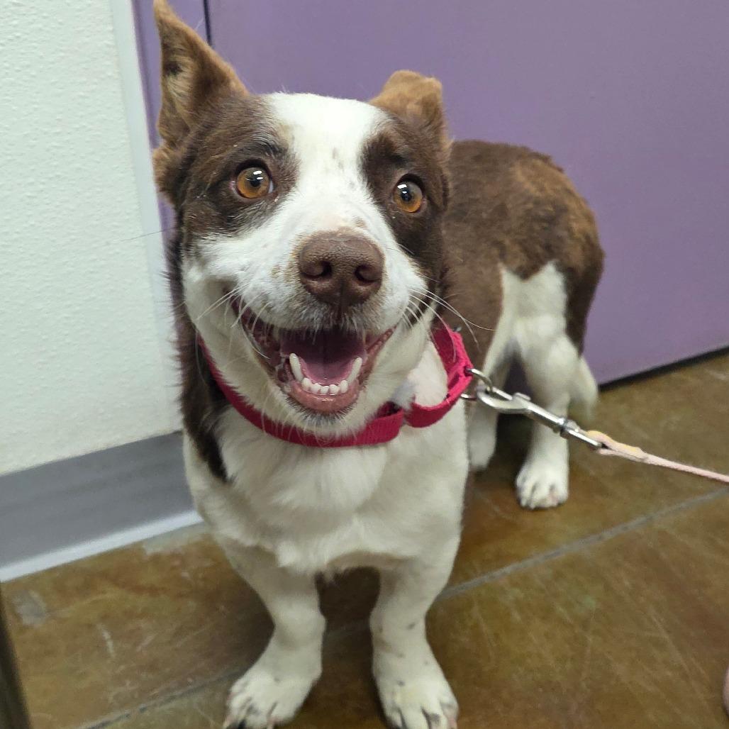 Einstein thumbnail 2