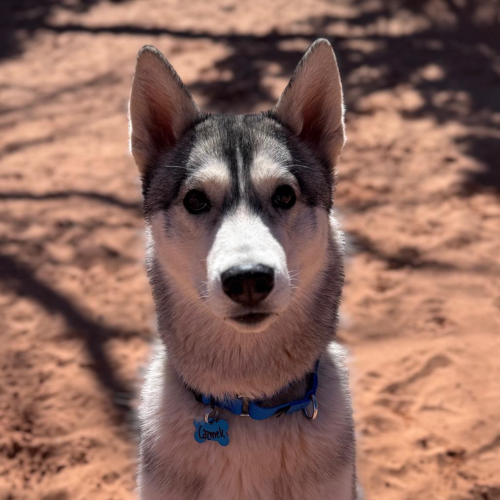 Cazmek — thumbnail 2