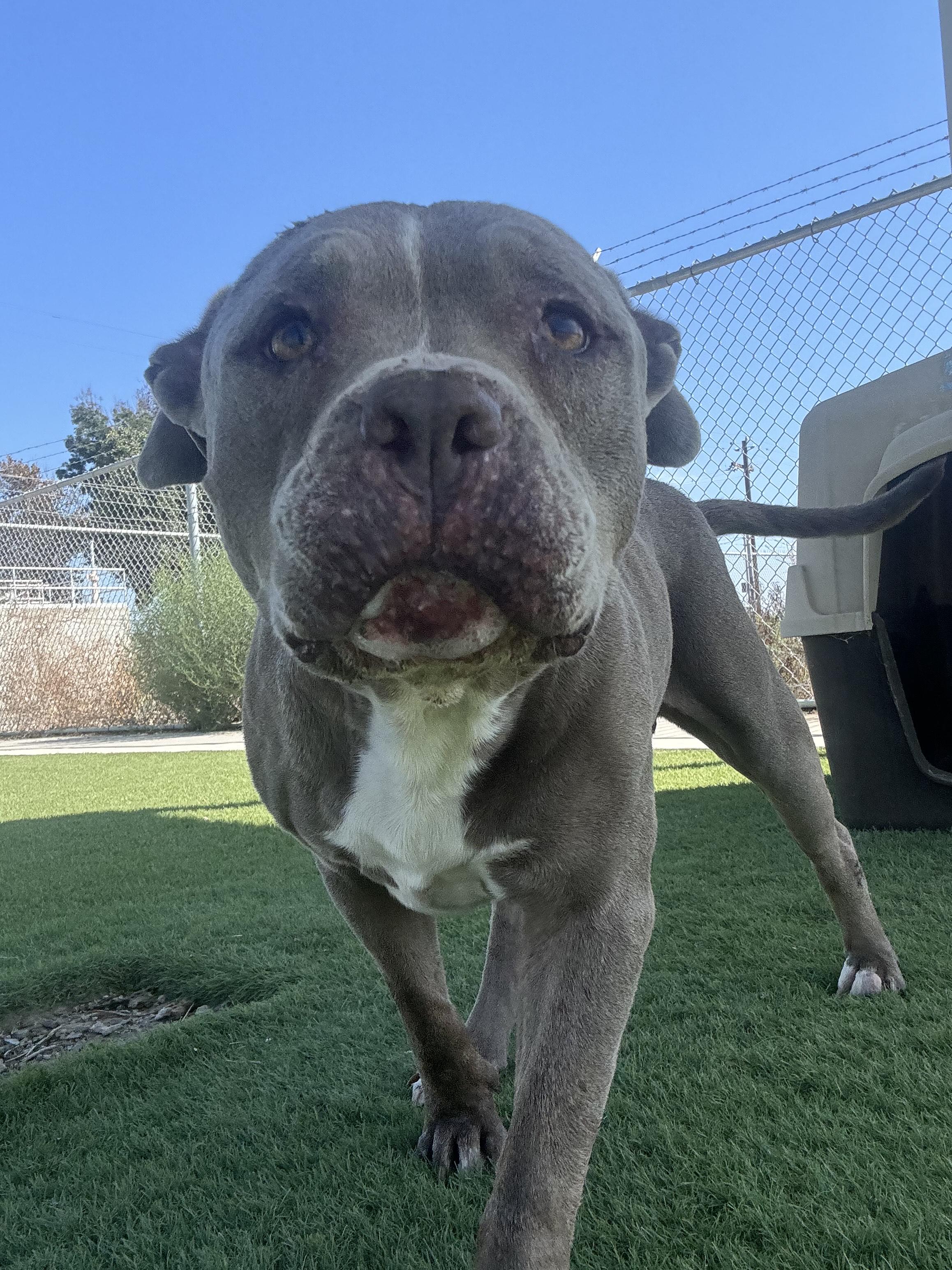 GILBERT (AVAILABLE 10/06/25) 2