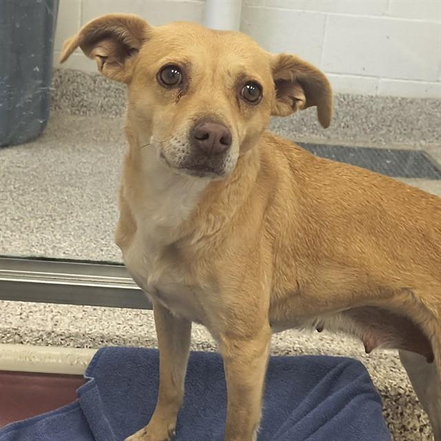 SUNNY* — thumbnail 2